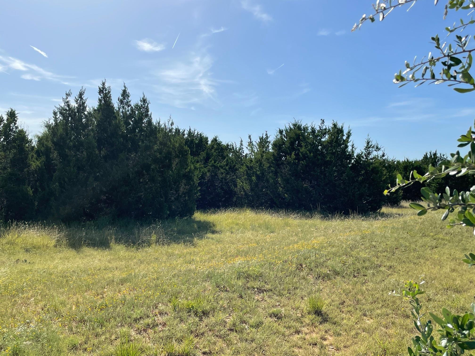 1412 S FM 1174 Rd, Bertram, TX 78605