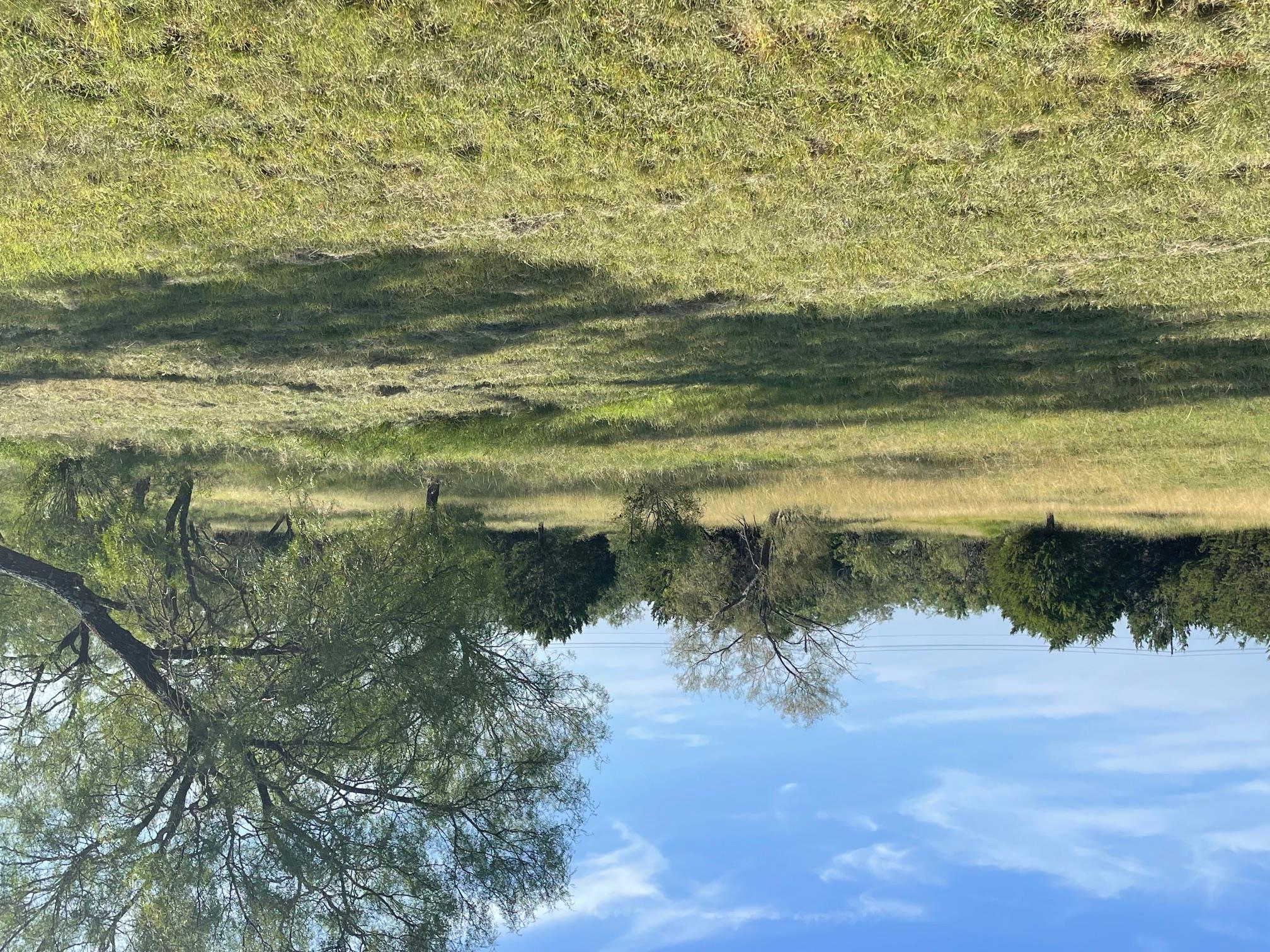 1412 S FM 1174 Rd, Bertram, TX 78605