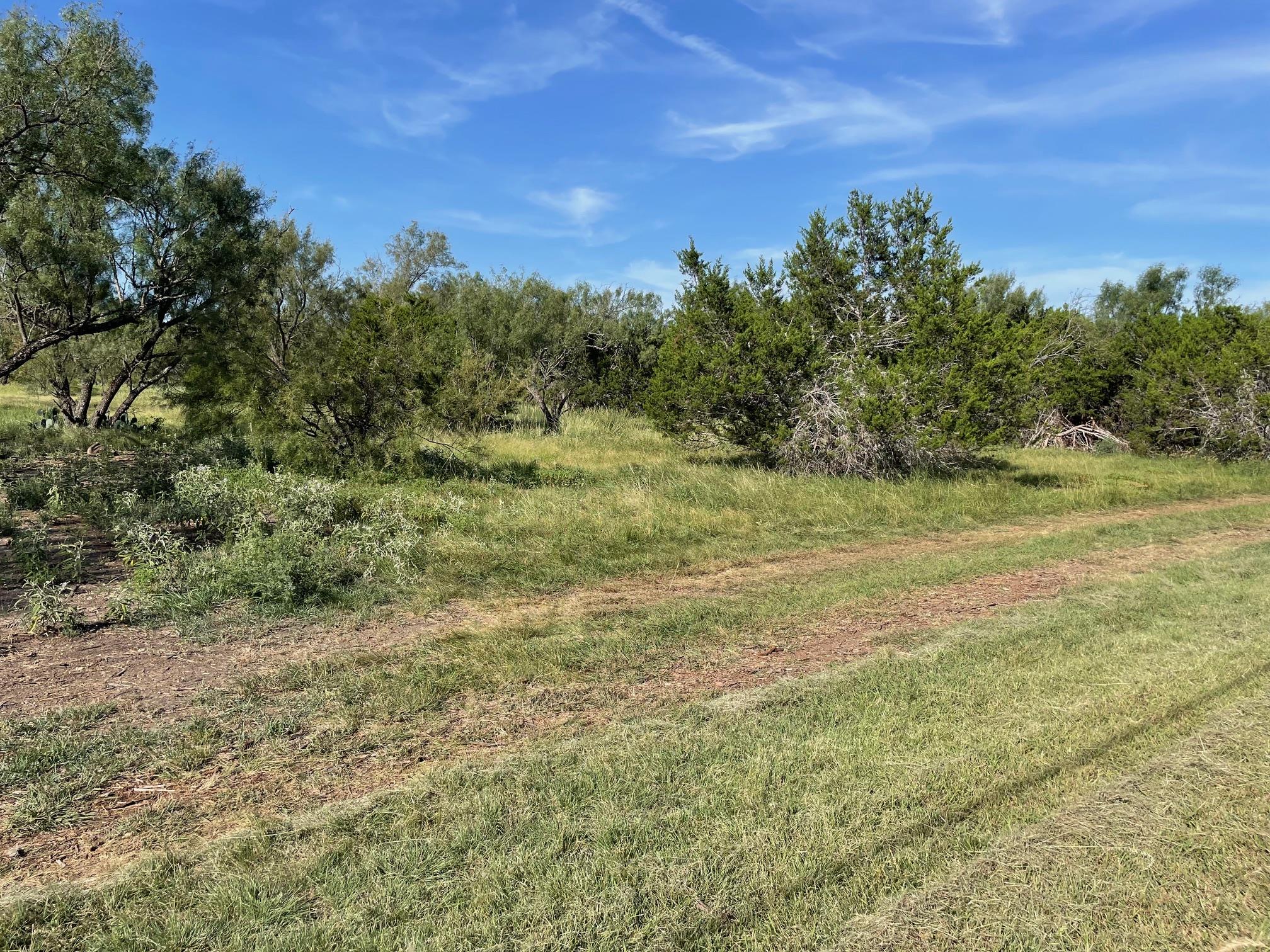 1412 S FM 1174 Rd, Bertram, TX 78605