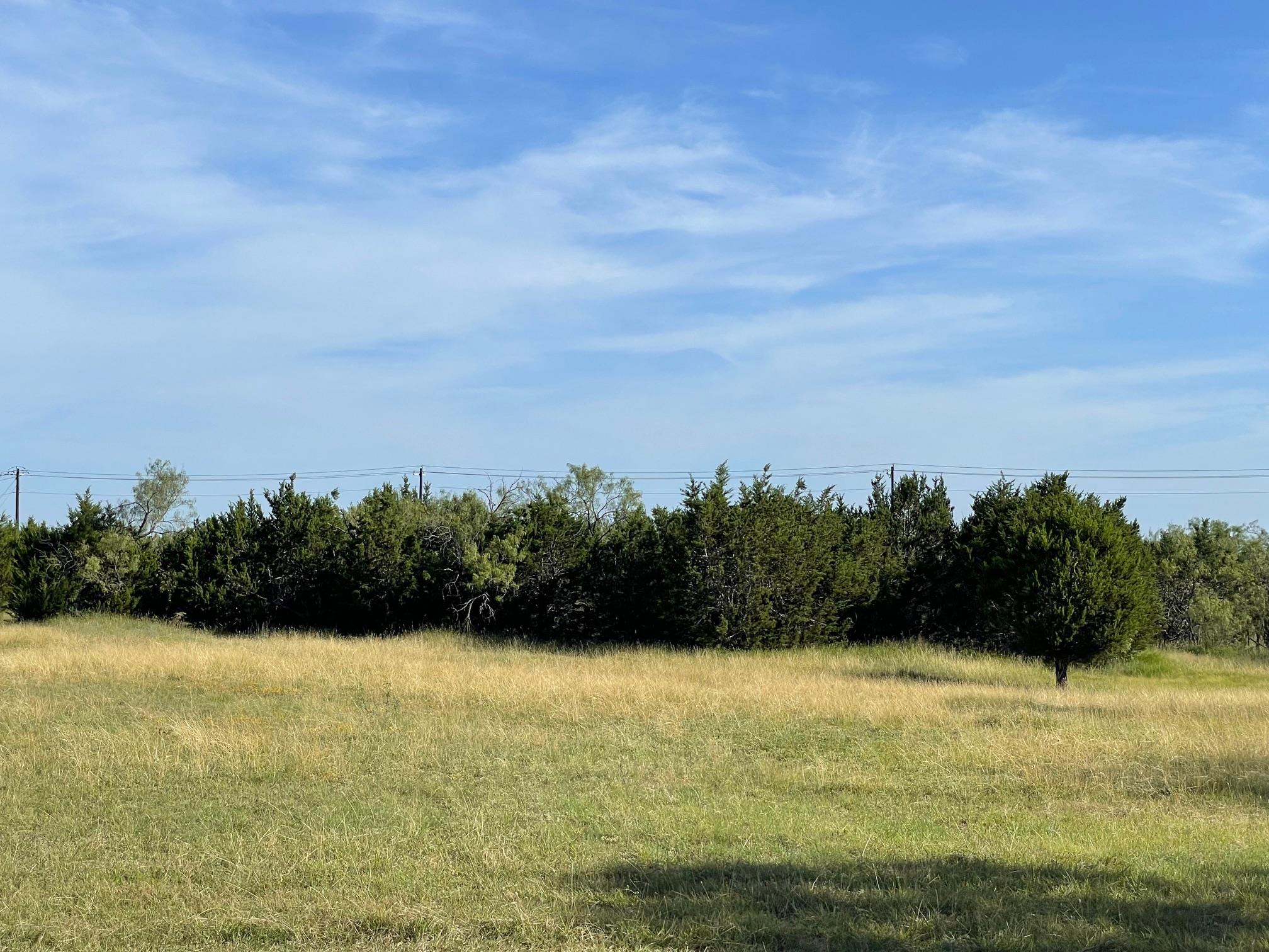 1412 S FM 1174 Rd, Bertram, TX 78605