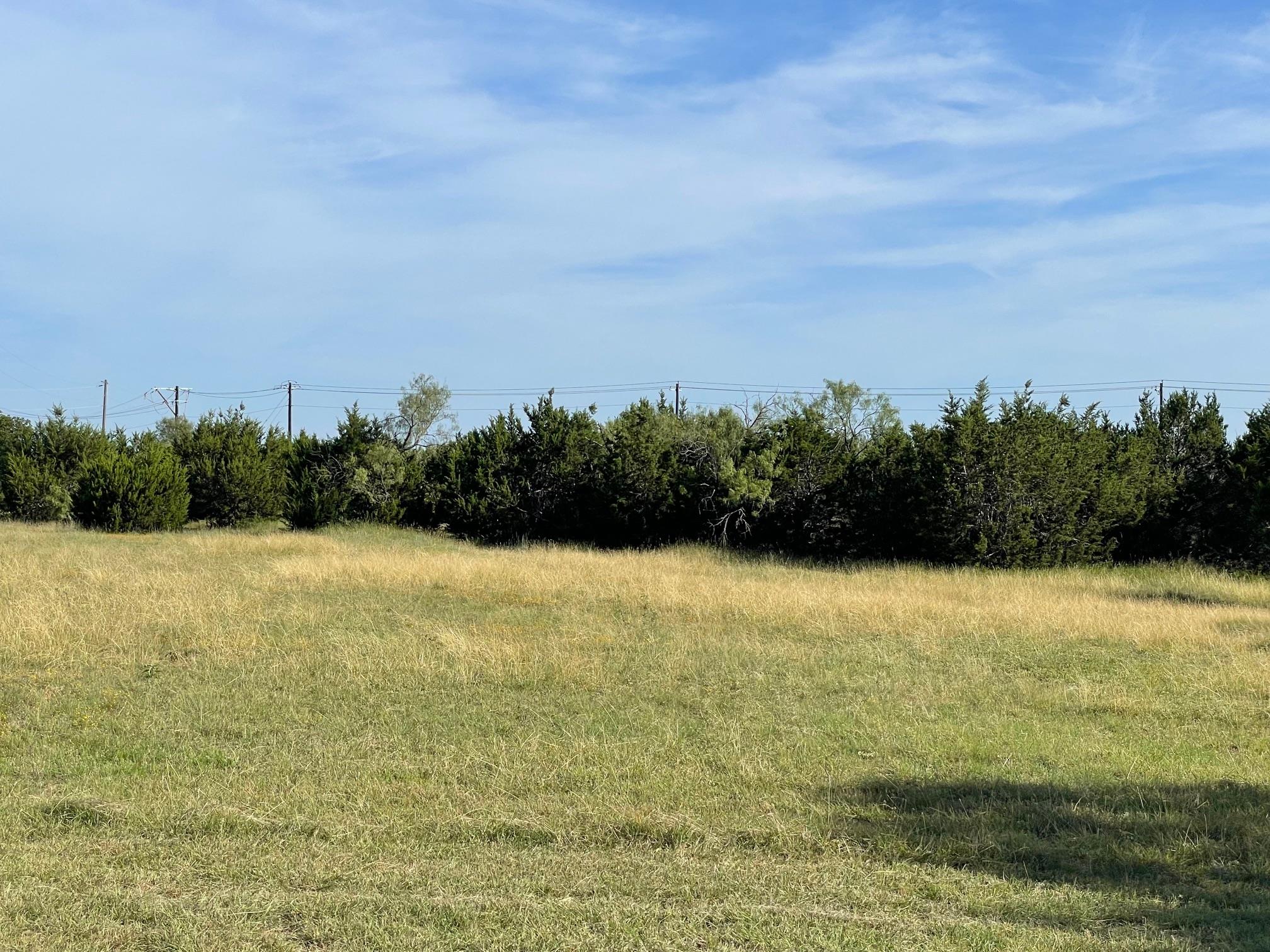 1412 S FM 1174 Rd, Bertram, TX 78605