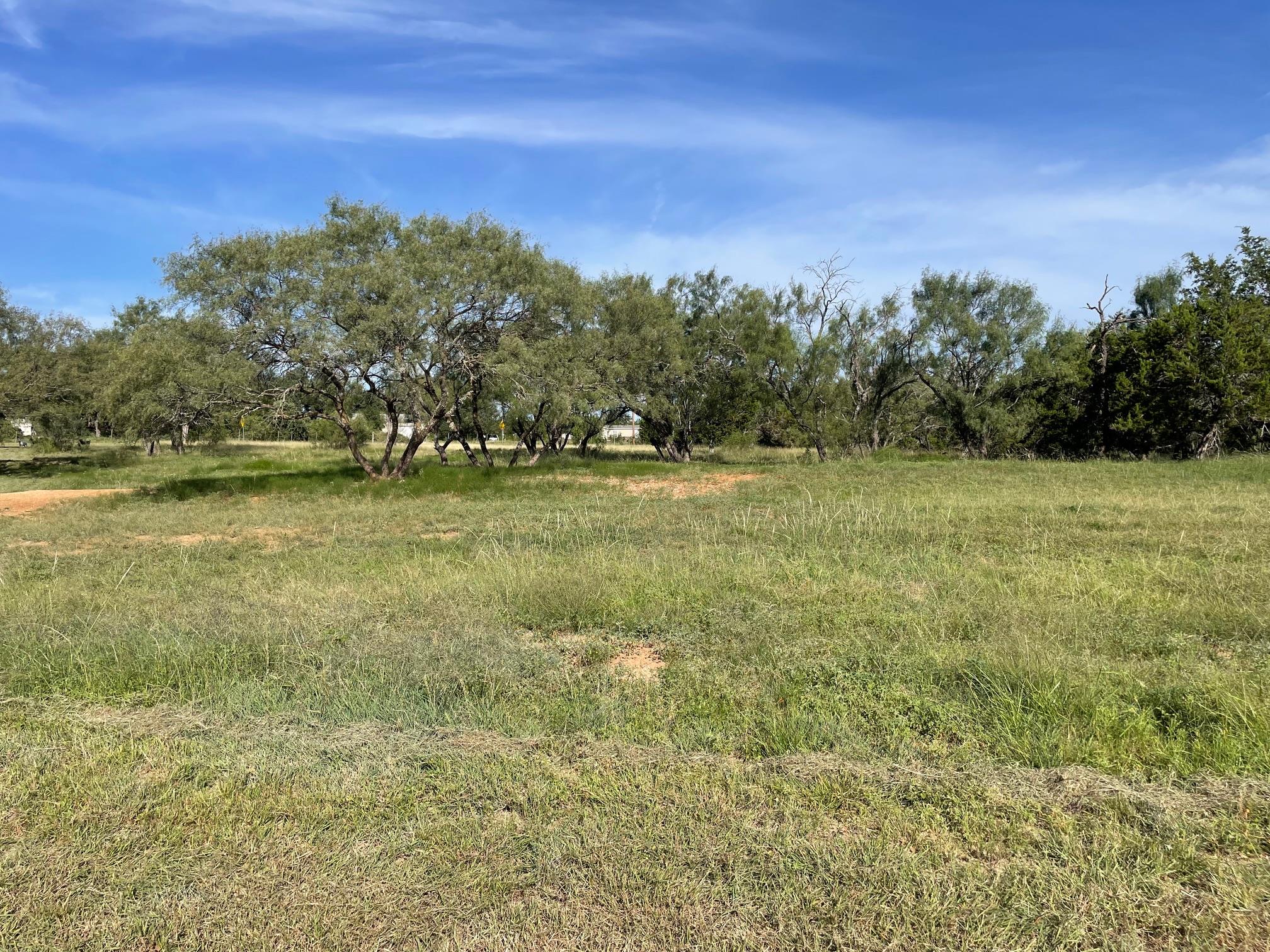 1412 S FM 1174 Rd, Bertram, TX 78605