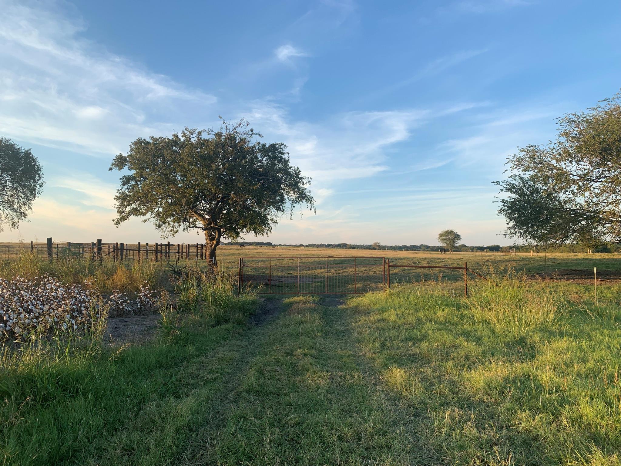 Georgetown, TX 78626