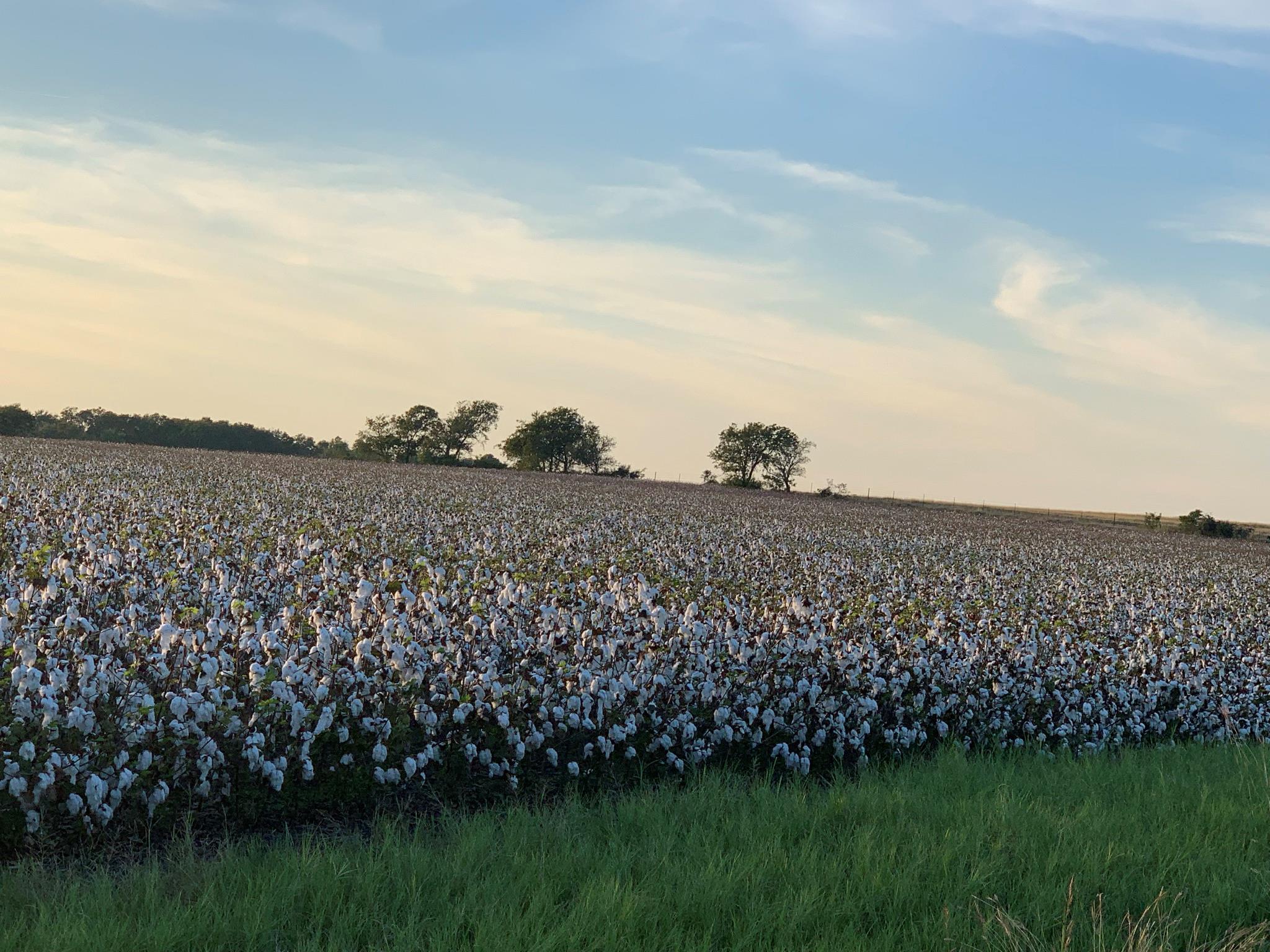 Georgetown, TX 78626