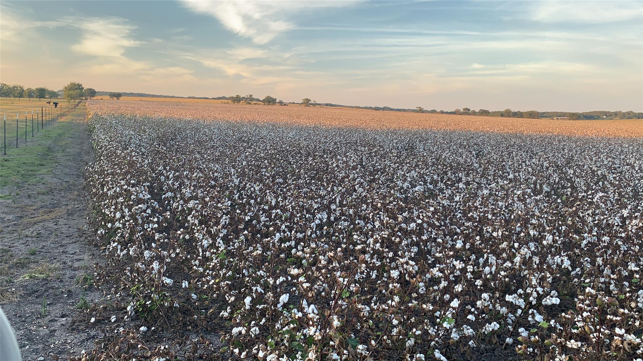 Georgetown, TX 78626