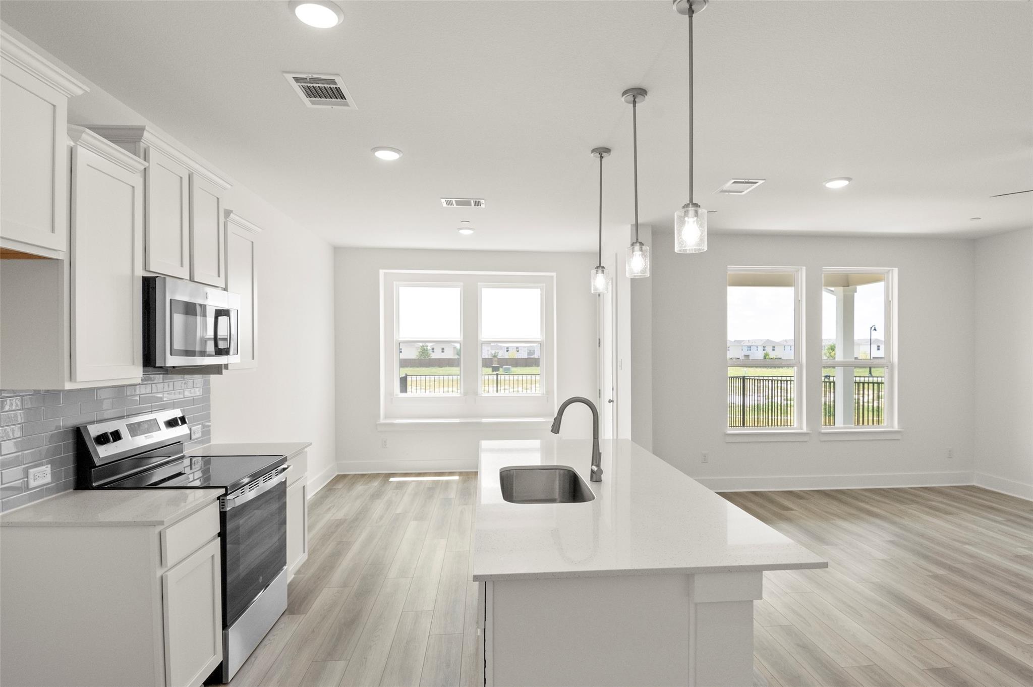 2033 Cora Ivy Ln, Round Rock, TX 78665