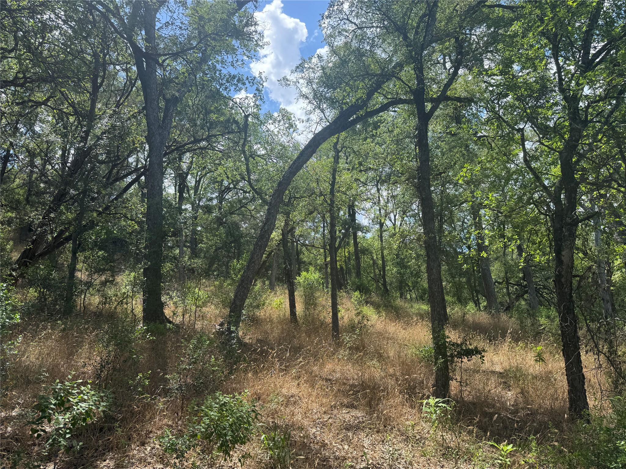 3633 Outback Trl, Spicewood, TX 78669