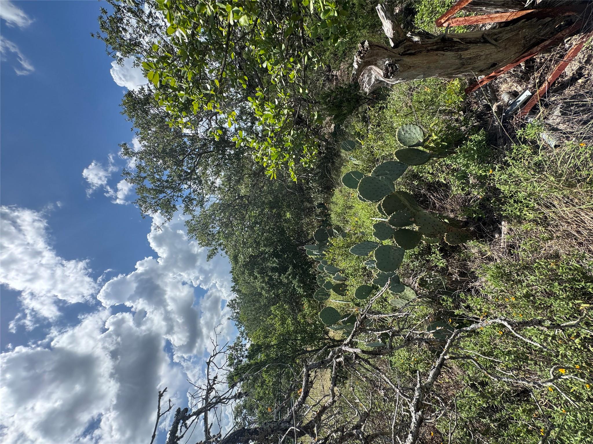 3633 Outback Trl, Spicewood, TX 78669