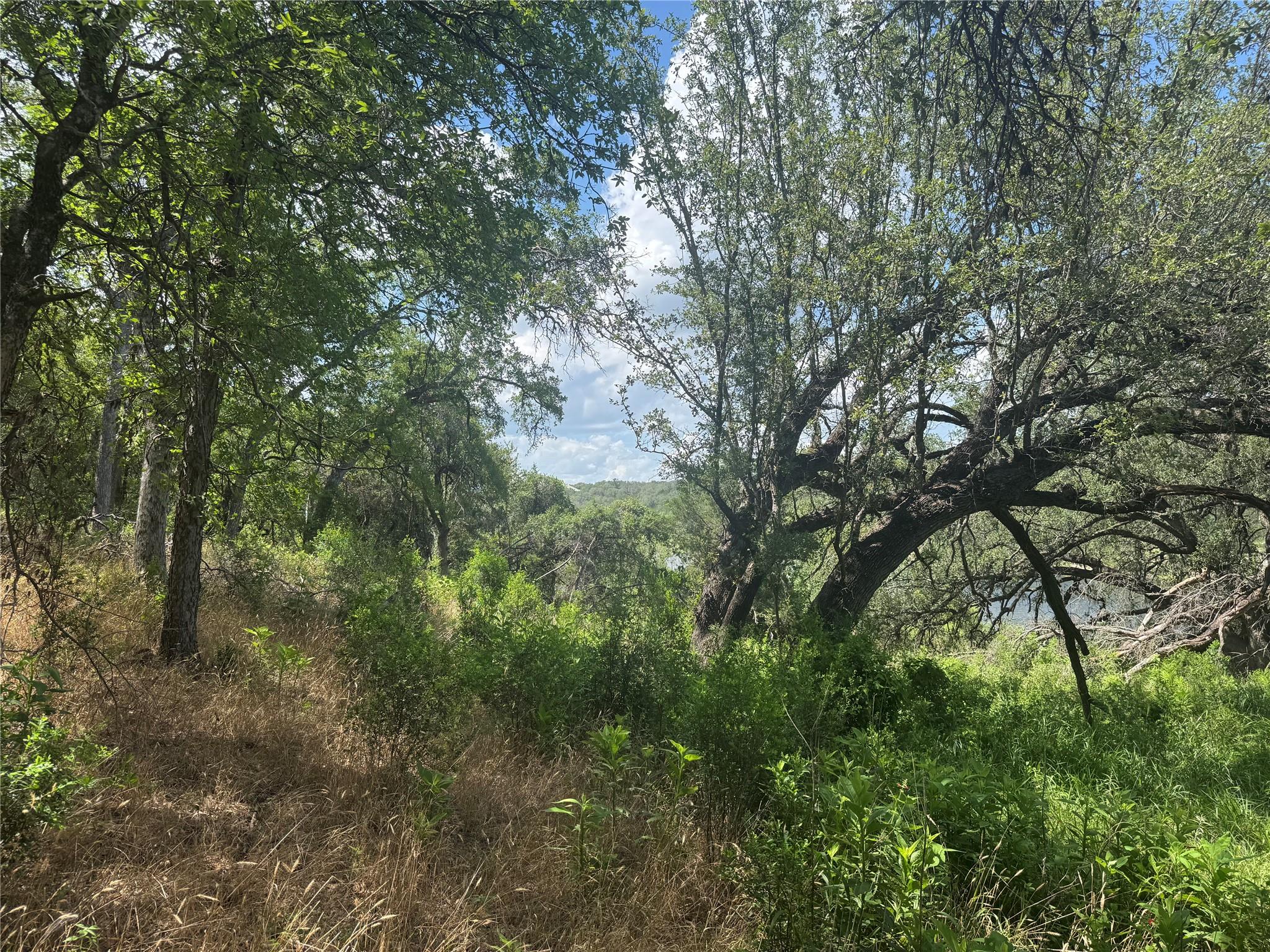 3633 Outback Trl, Spicewood, TX 78669