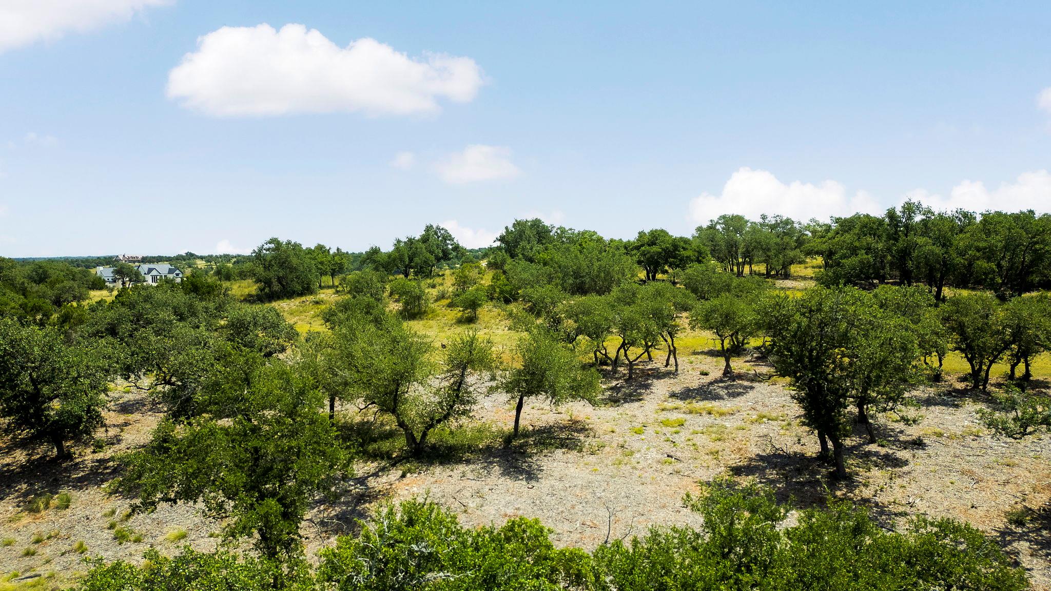 LOT 32 Prancing Deer Ln, Johnson City, TX 78636