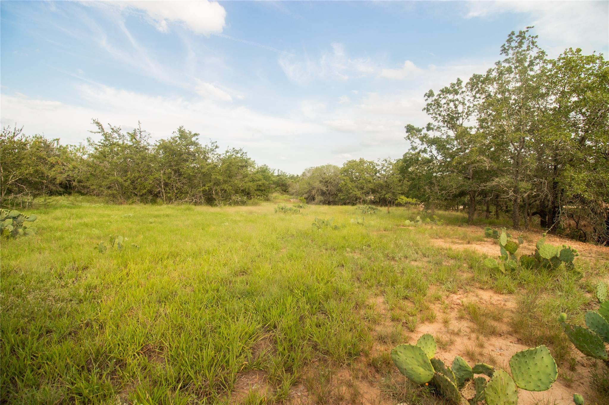 437 Firefly Field Ln, Seguin, TX 78155