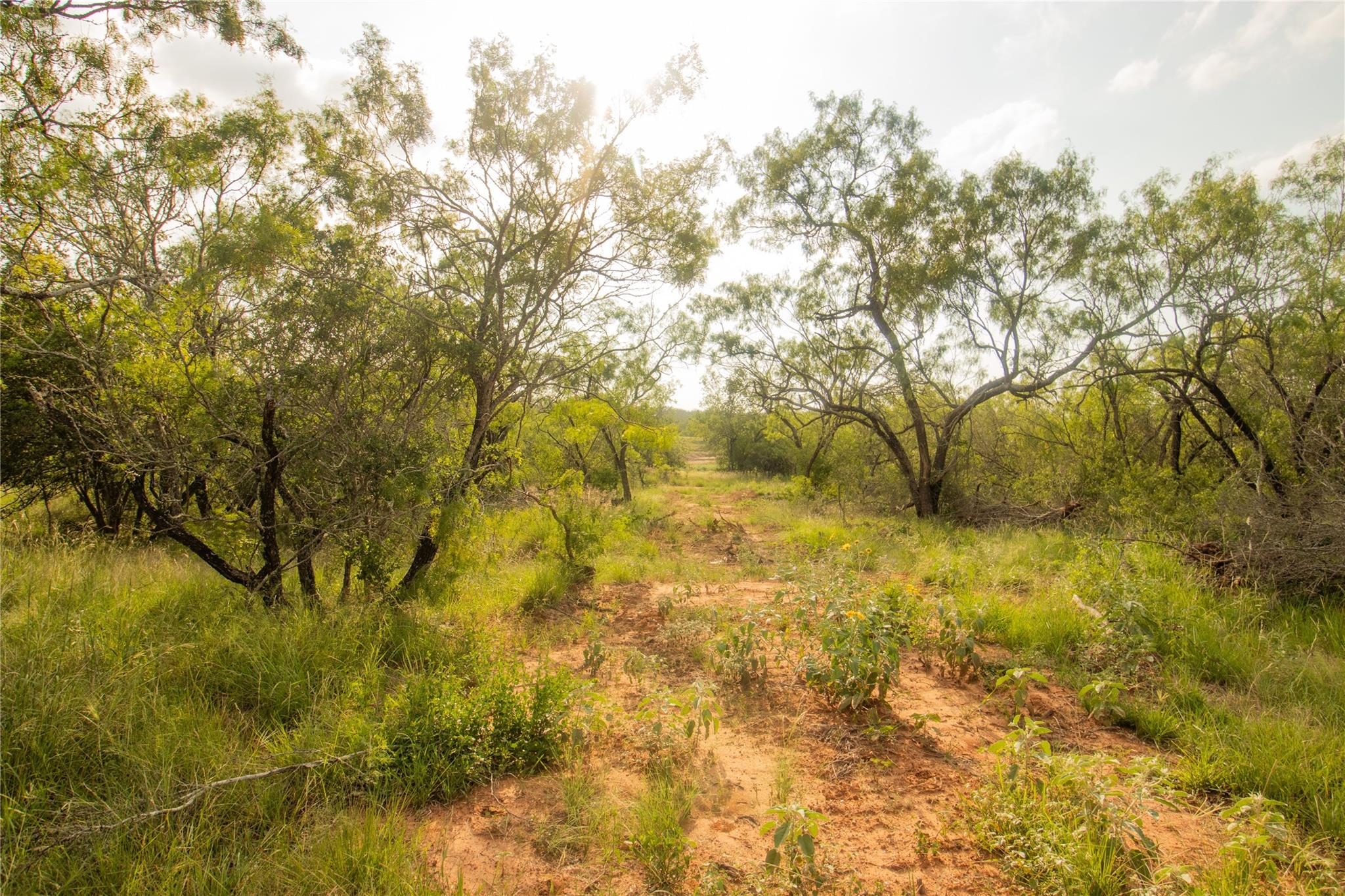 437 Firefly Field Ln, Seguin, TX 78155