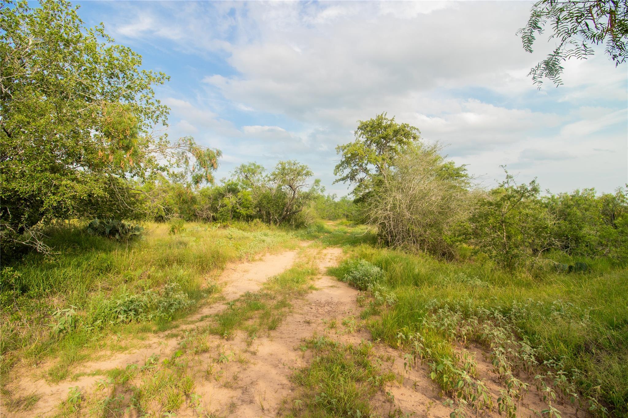 437 Firefly Field Ln, Seguin, TX 78155