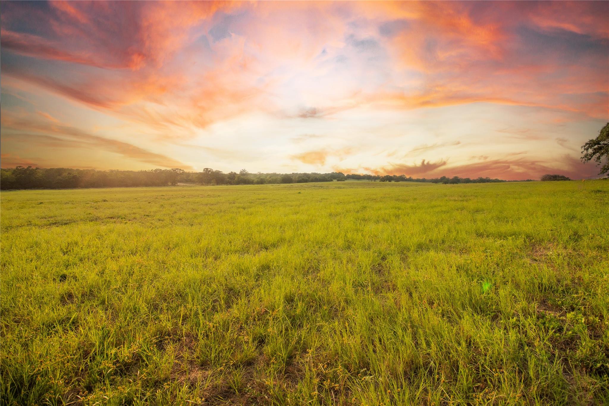 437 Firefly Field Ln, Seguin, TX 78155