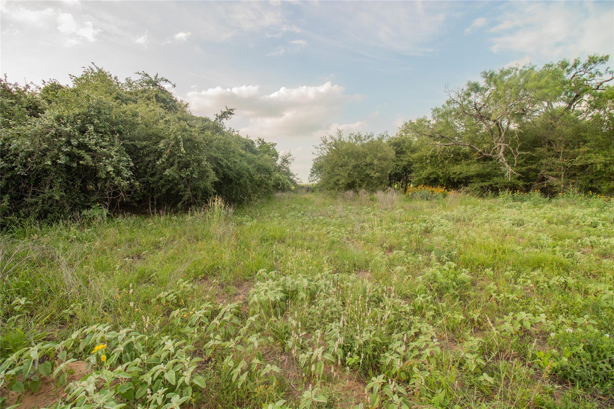 437 Firefly Field Ln, Seguin, TX 78155