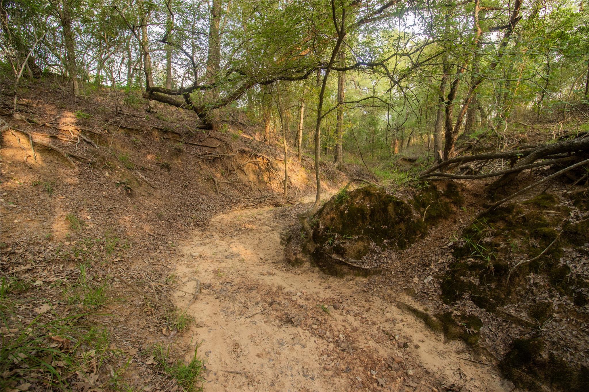 437 Firefly Field Ln, Seguin, TX 78155