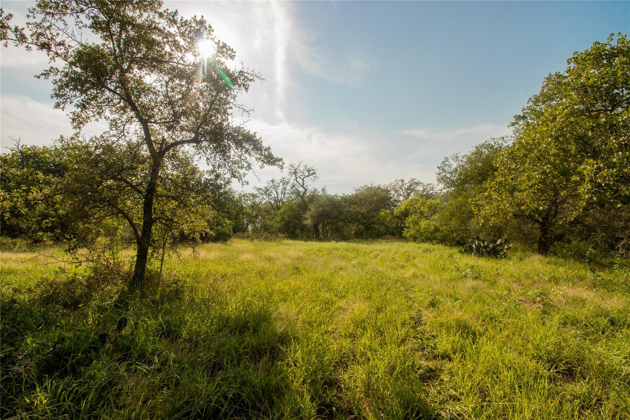 437 Firefly Field Ln, Seguin, TX 78155