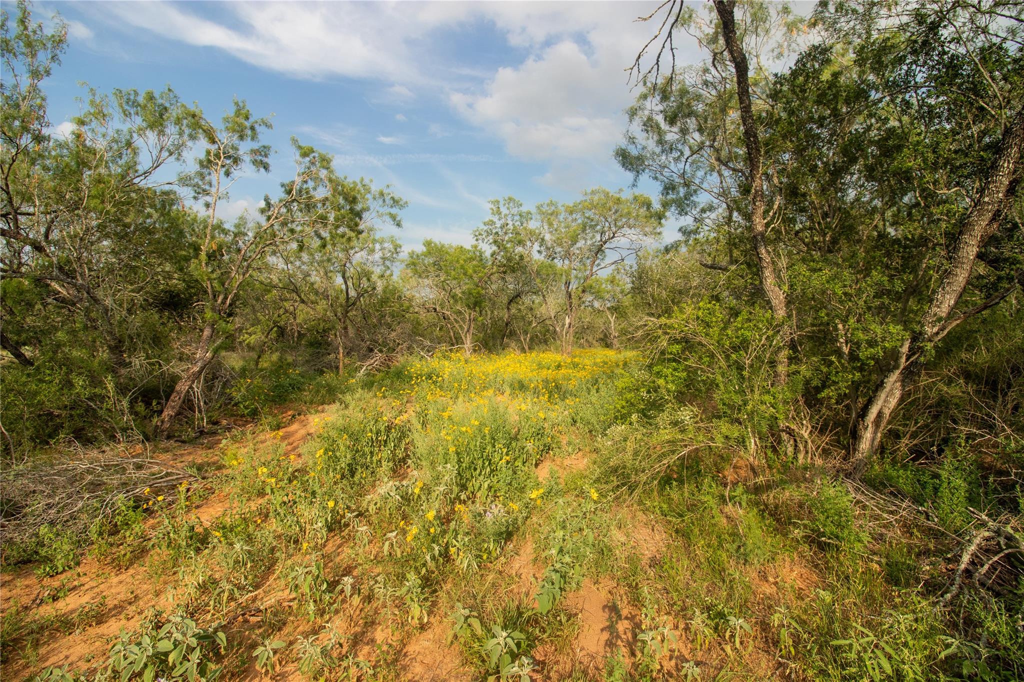 437 Firefly Field Ln, Seguin, TX 78155