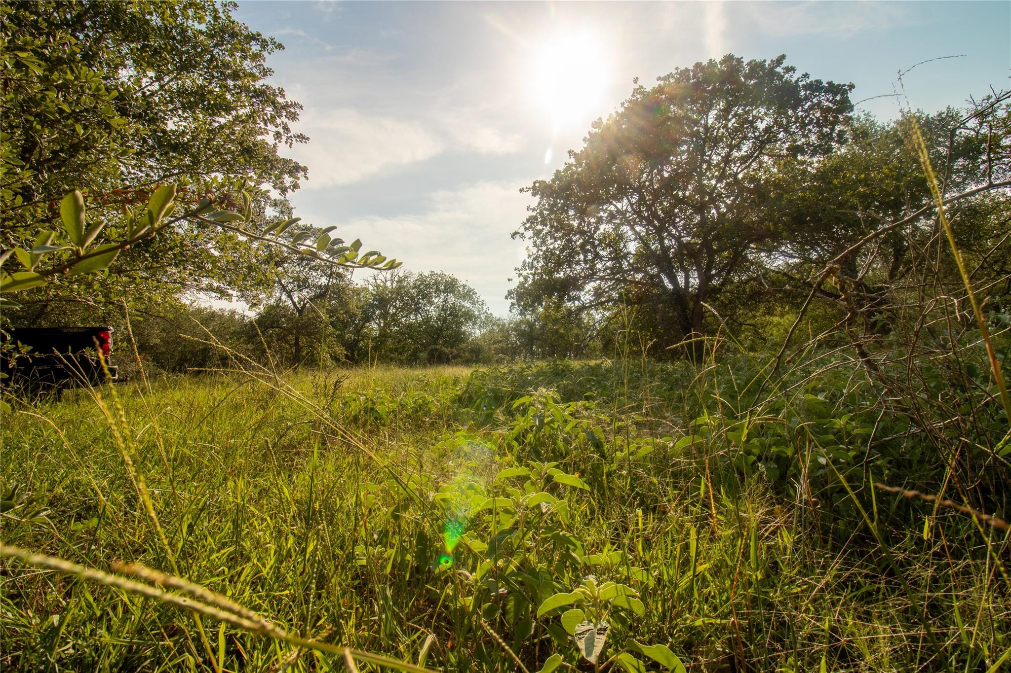 437 Firefly Field Ln, Seguin, TX 78155