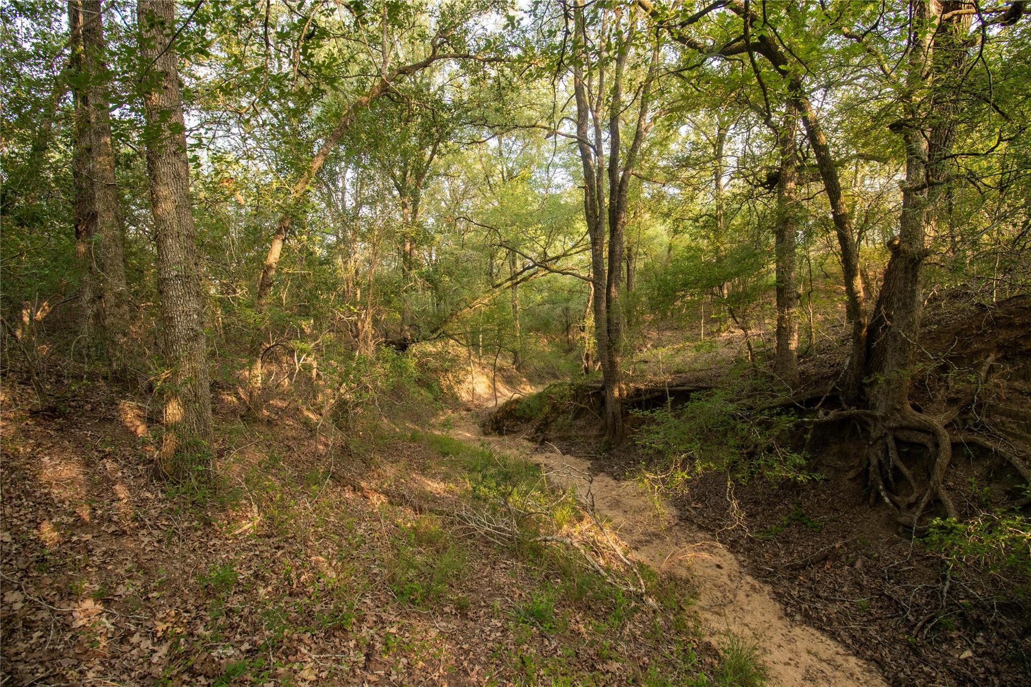 760 Dowdy Rd, Seguin, TX 78155