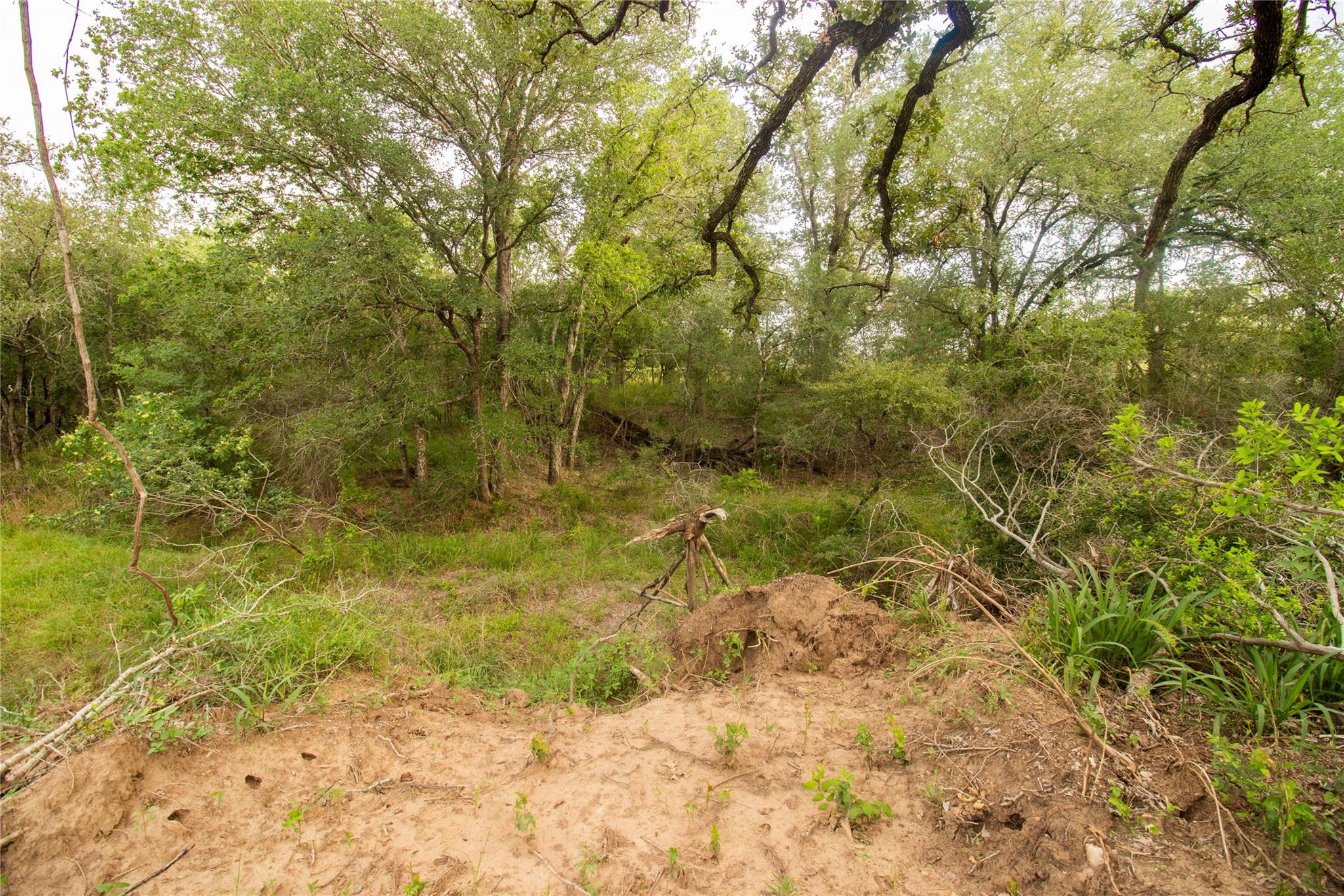 760 Dowdy Rd, Seguin, TX 78155