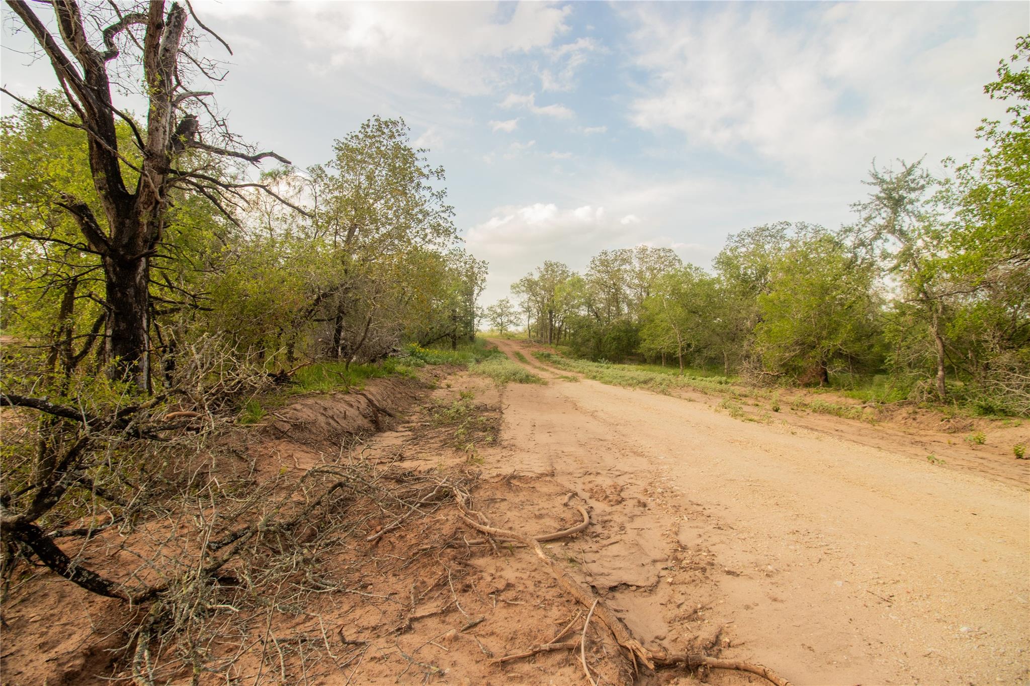 760 Dowdy Rd, Seguin, TX 78155