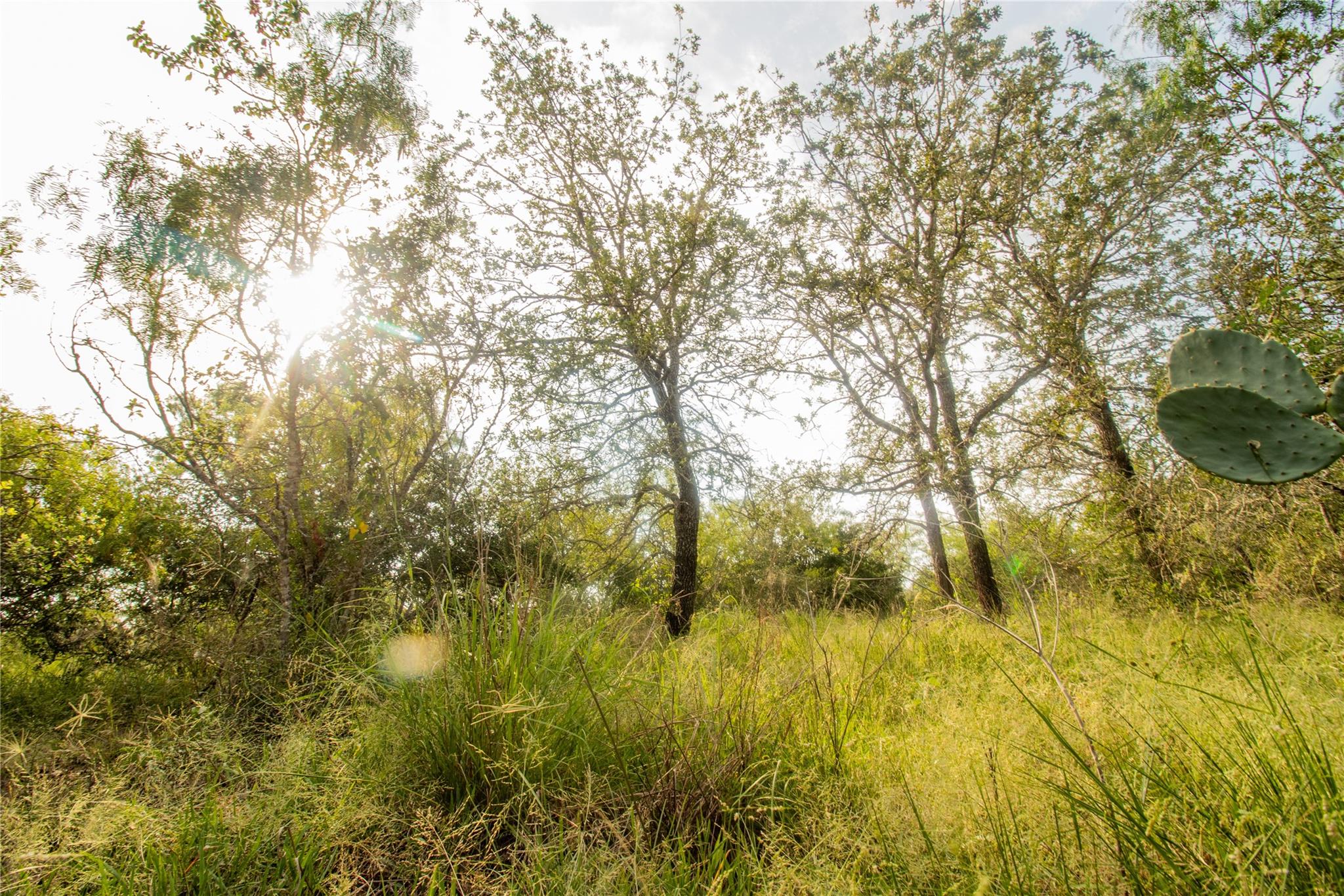 760 Dowdy Rd, Seguin, TX 78155