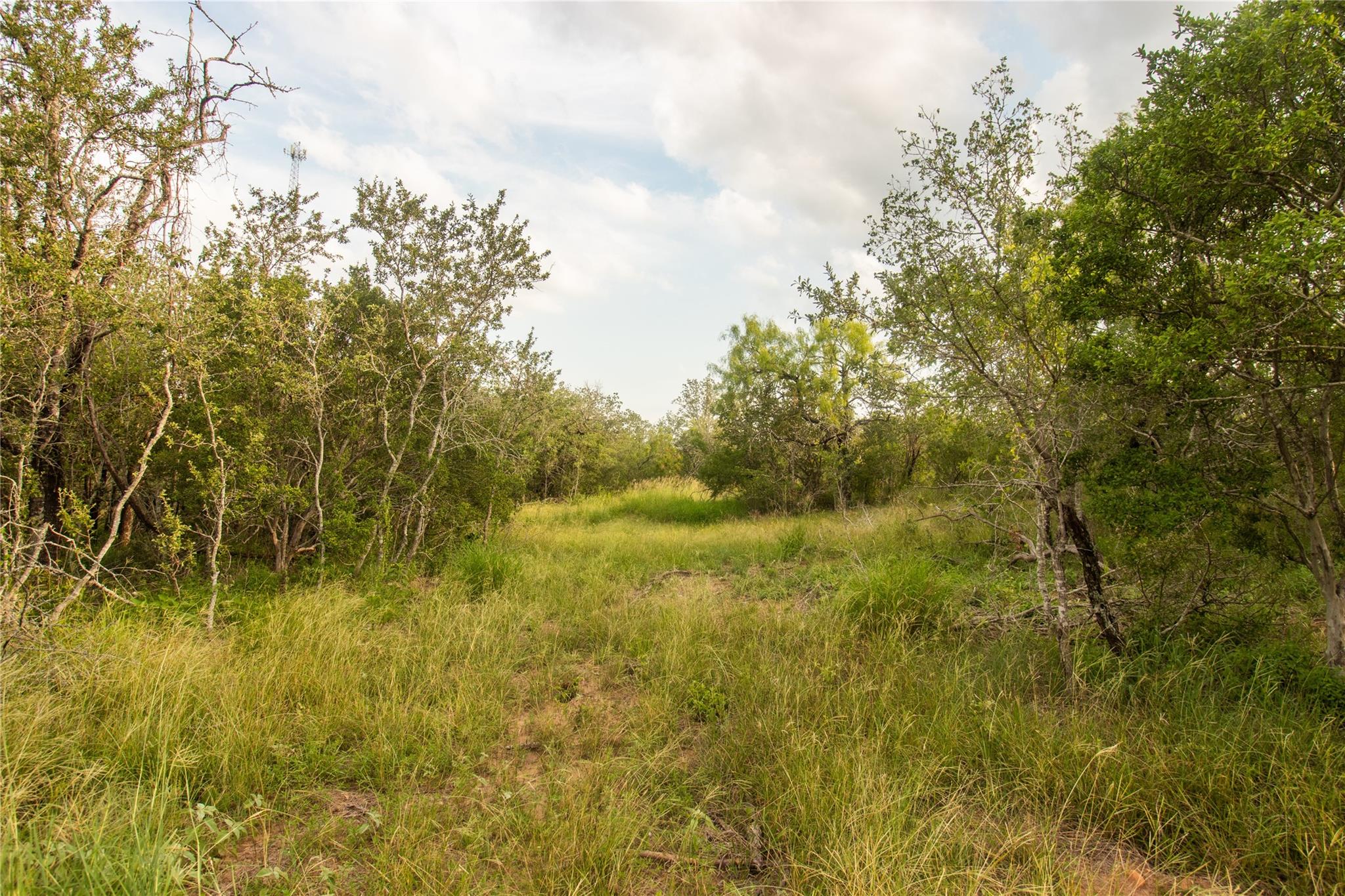 862 Dowdy Rd, Seguin, TX 78155