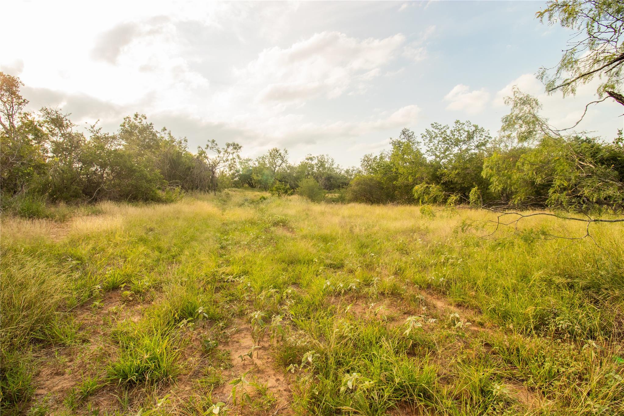 862 Dowdy Rd, Seguin, TX 78155