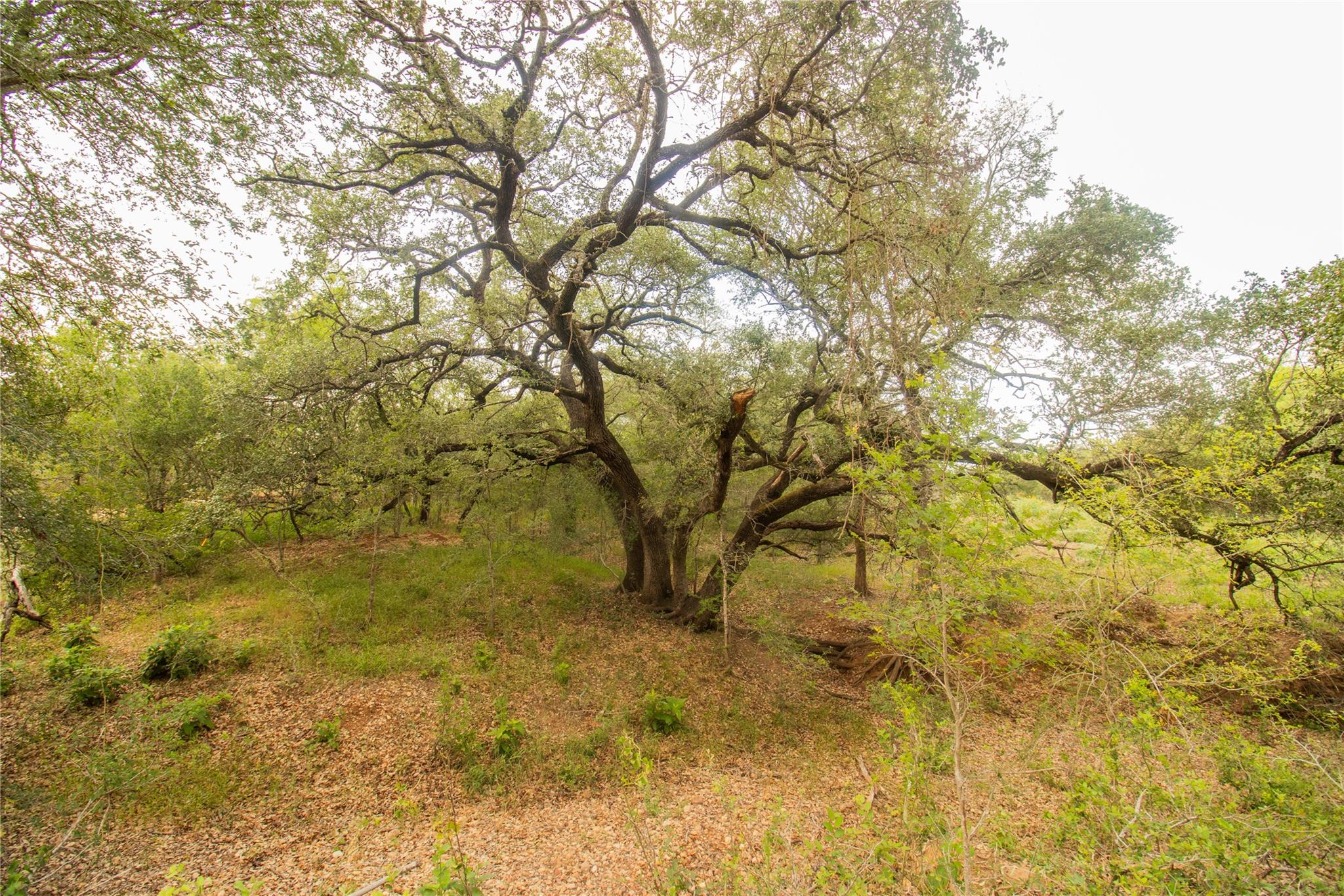 862 Dowdy Rd, Seguin, TX 78155