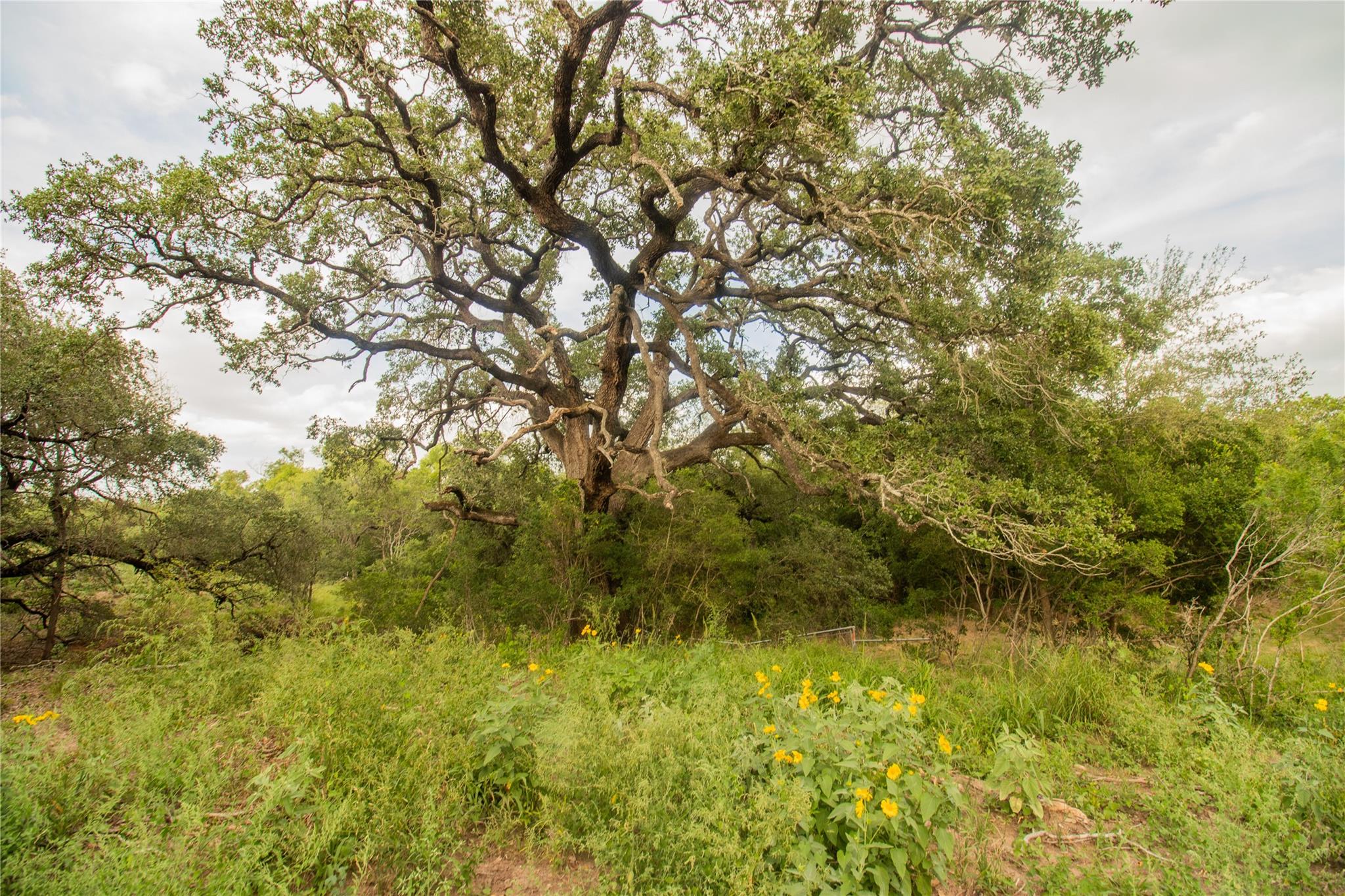 862 Dowdy Rd, Seguin, TX 78155