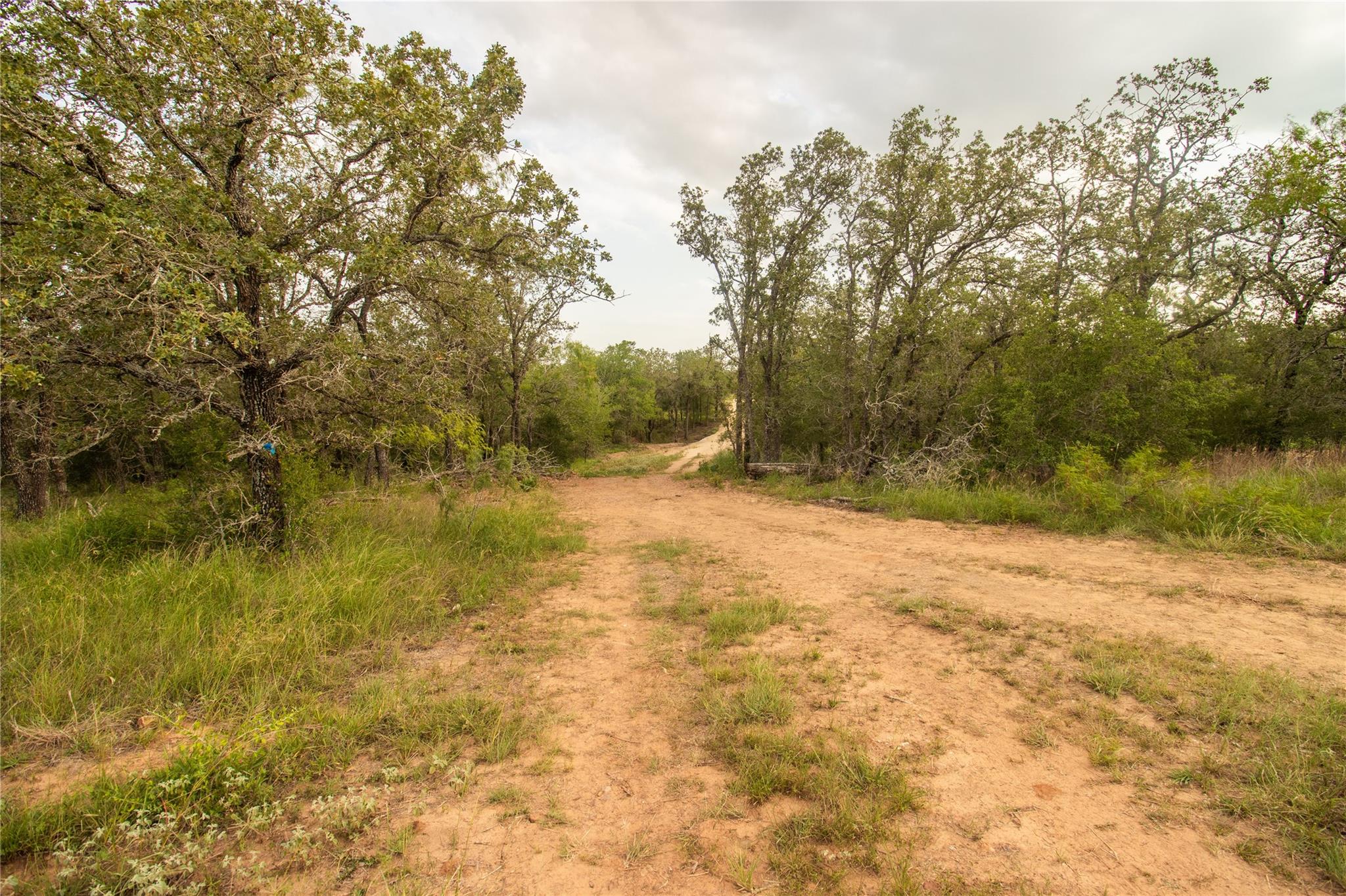 862 Dowdy Rd, Seguin, TX 78155