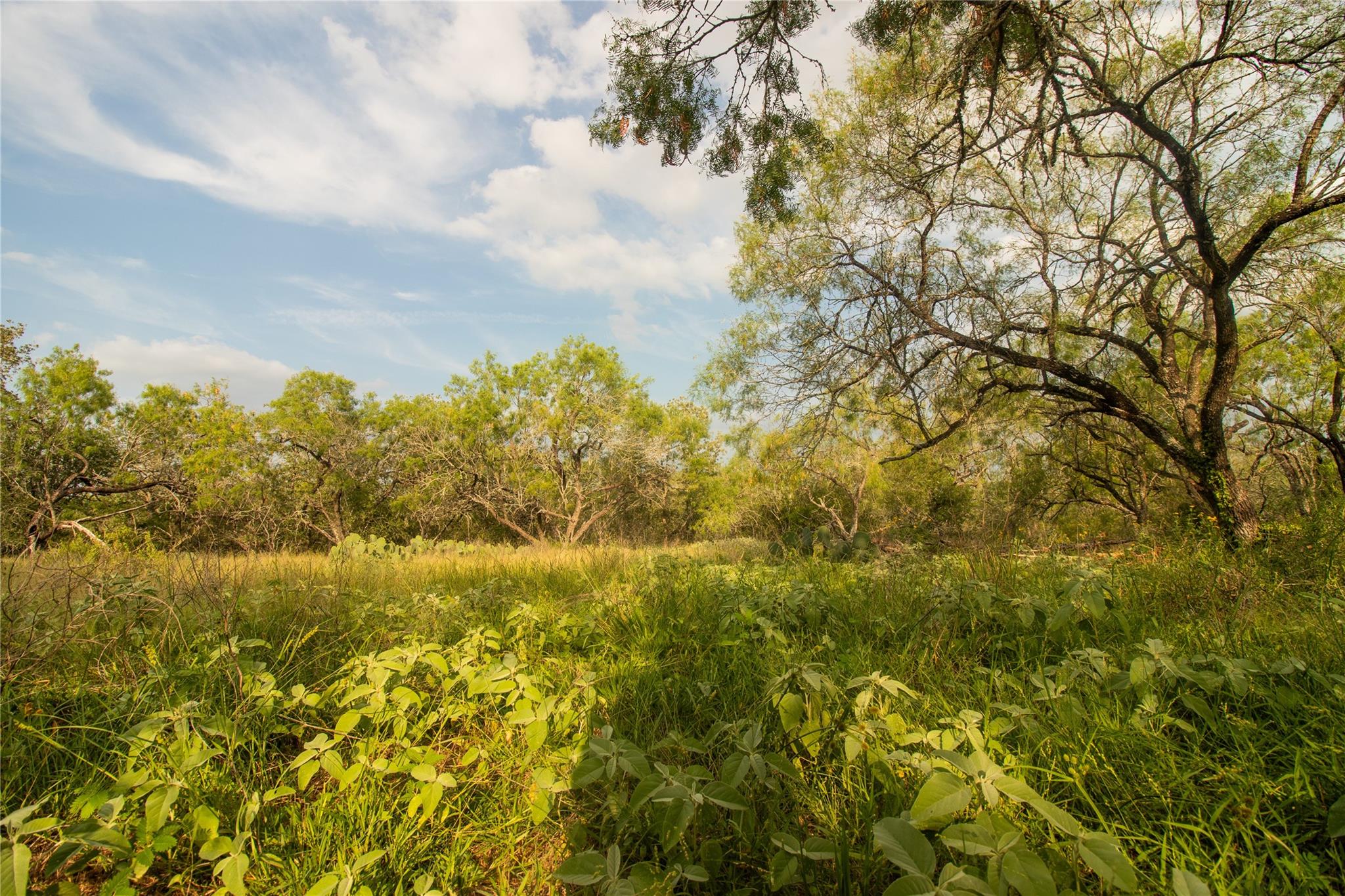 862 Dowdy Rd, Seguin, TX 78155