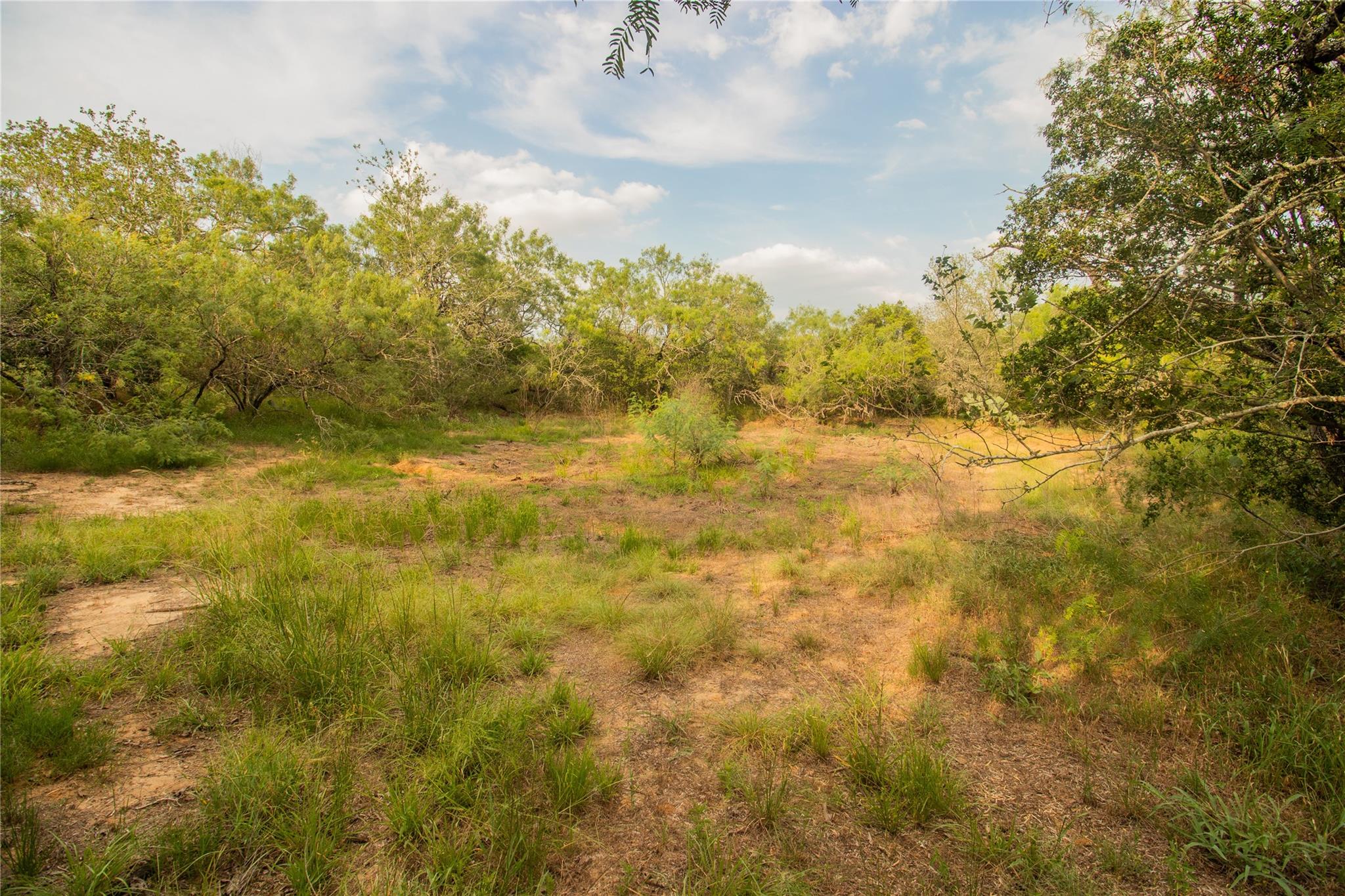 862 Dowdy Rd, Seguin, TX 78155