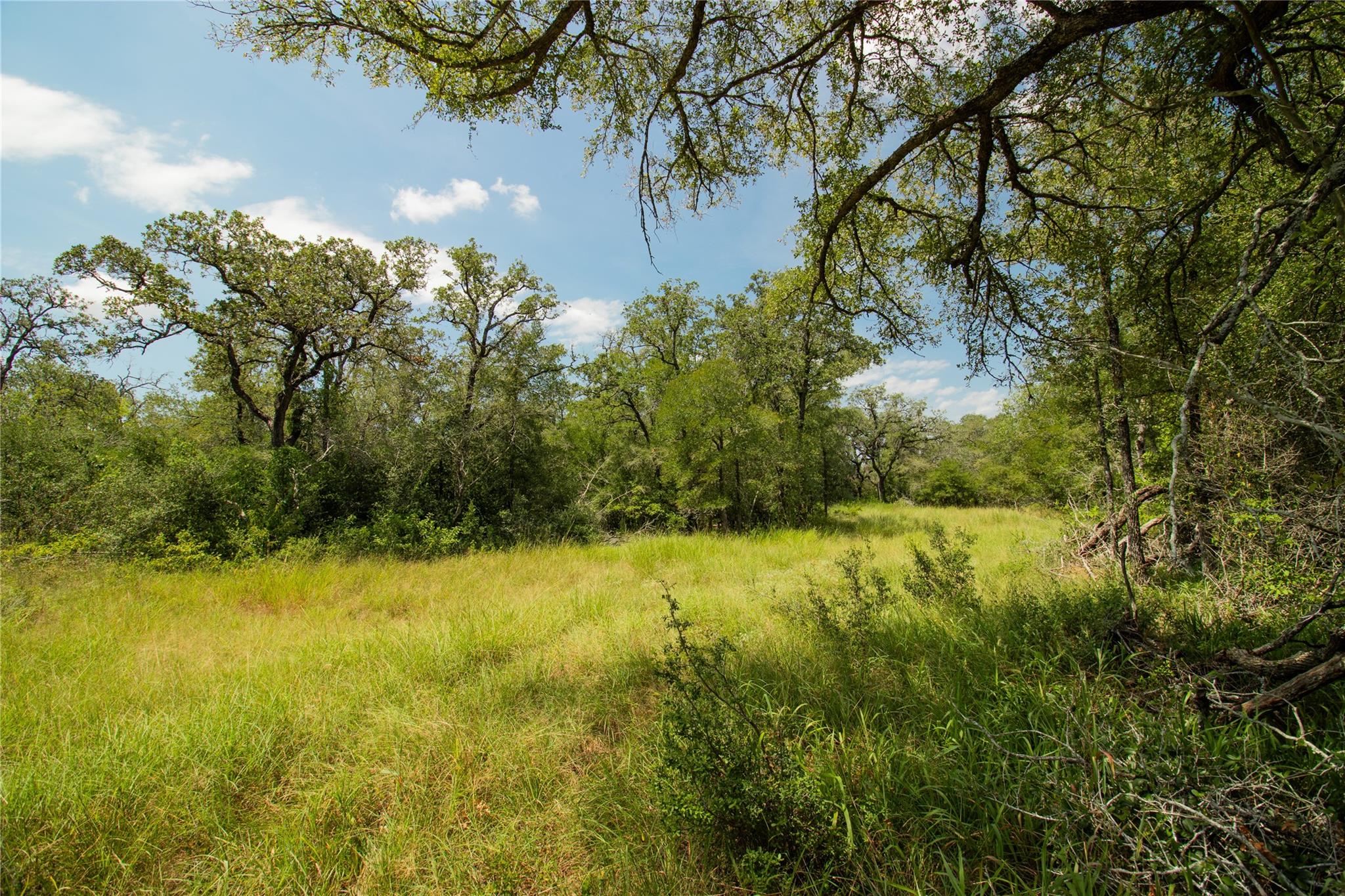 2252 Bluestem Crest Ln, Seguin, TX 78155