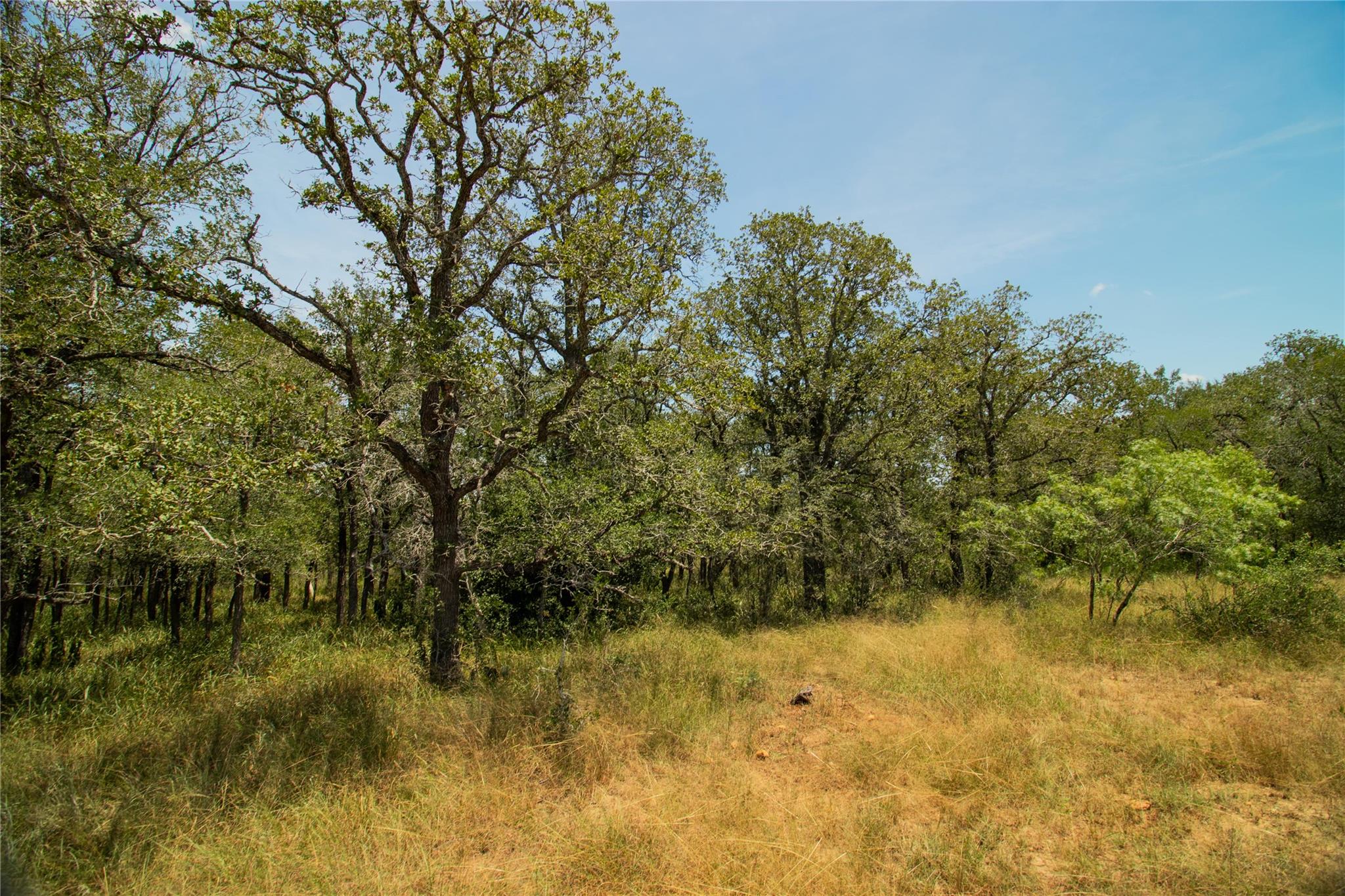 9412 Sycamore Shade Ln, Seguin, TX 78155