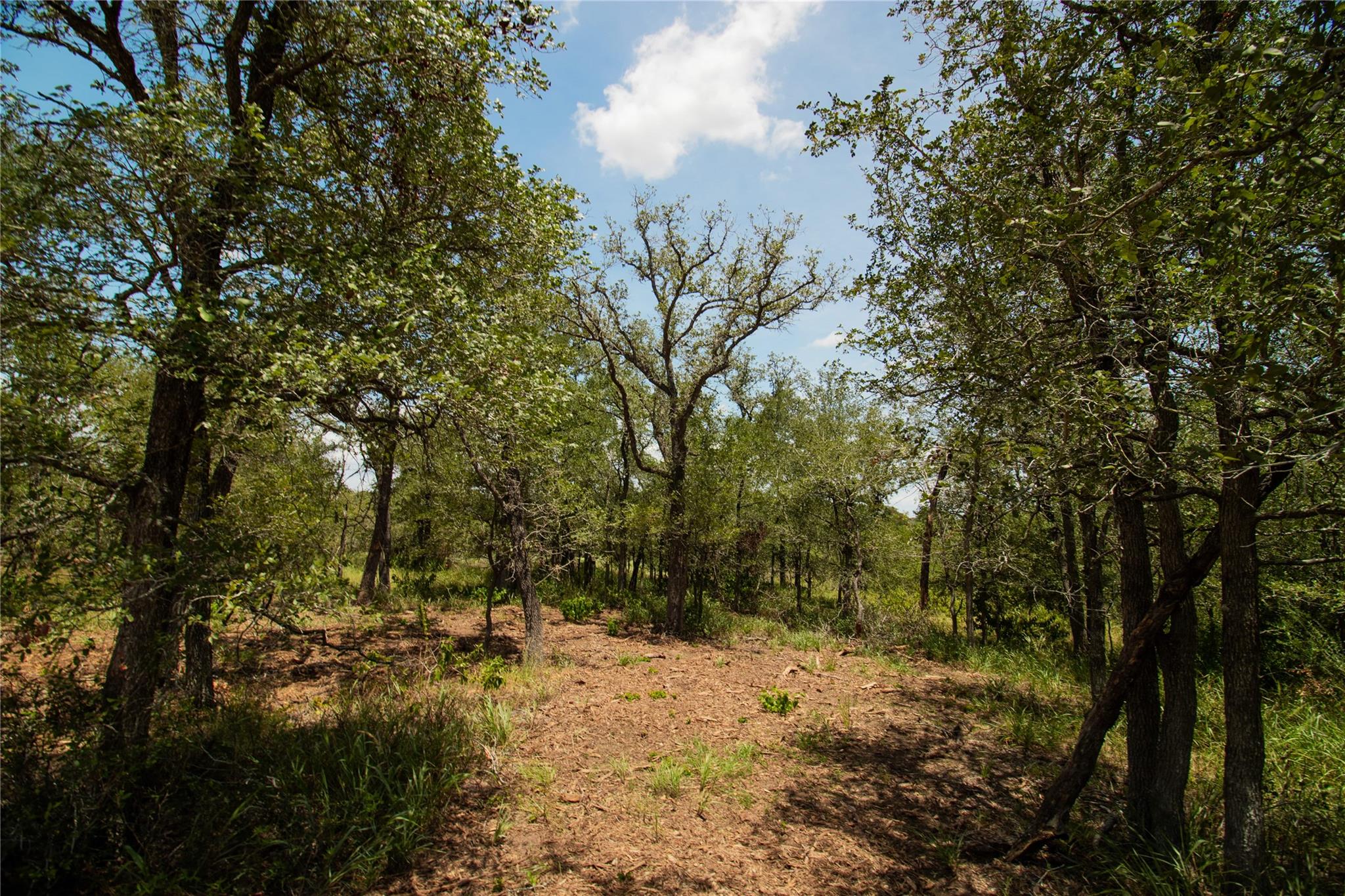 9412 Sycamore Shade Ln, Seguin, TX 78155