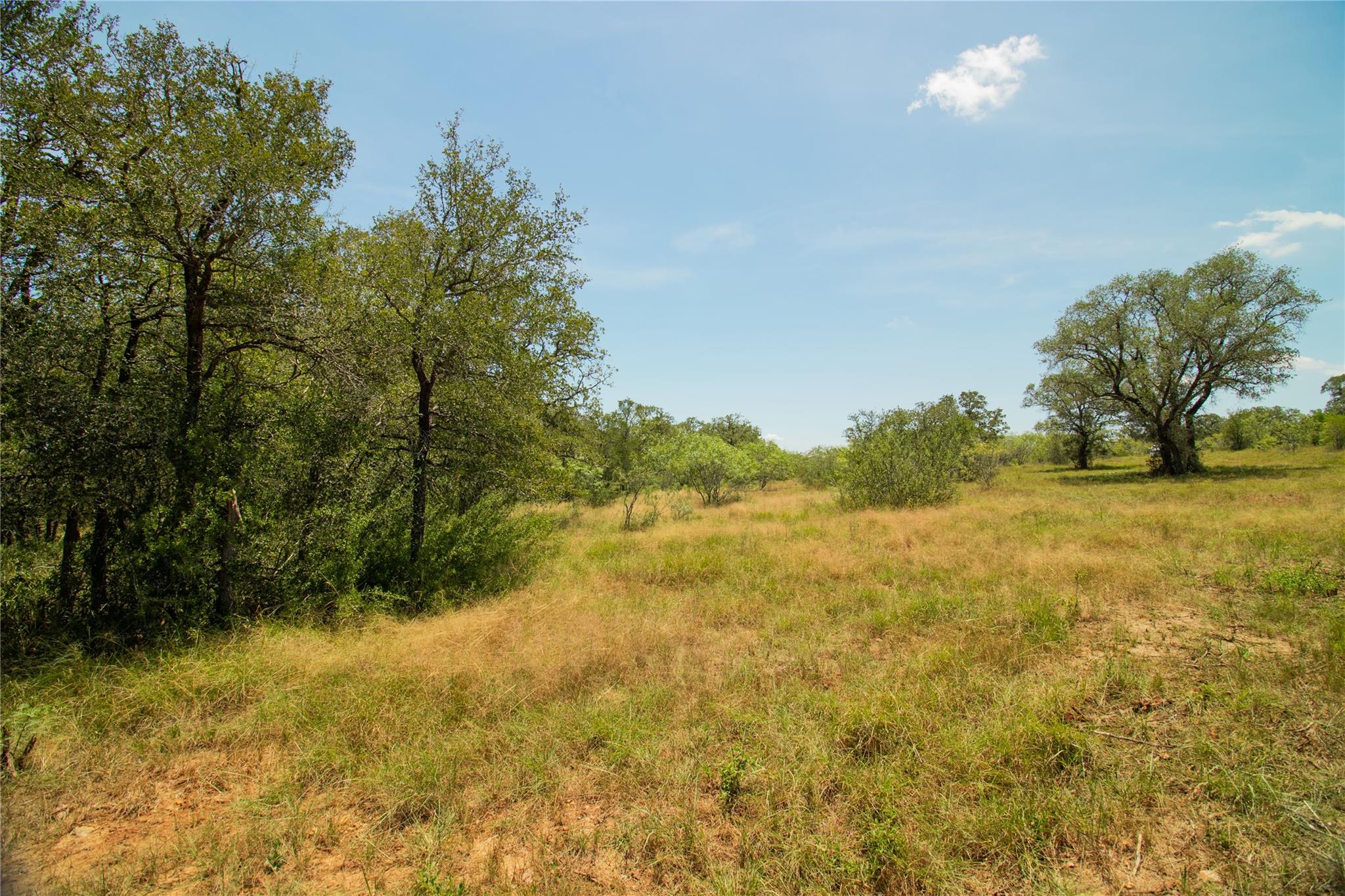 9412 Sycamore Shade Ln, Seguin, TX 78155