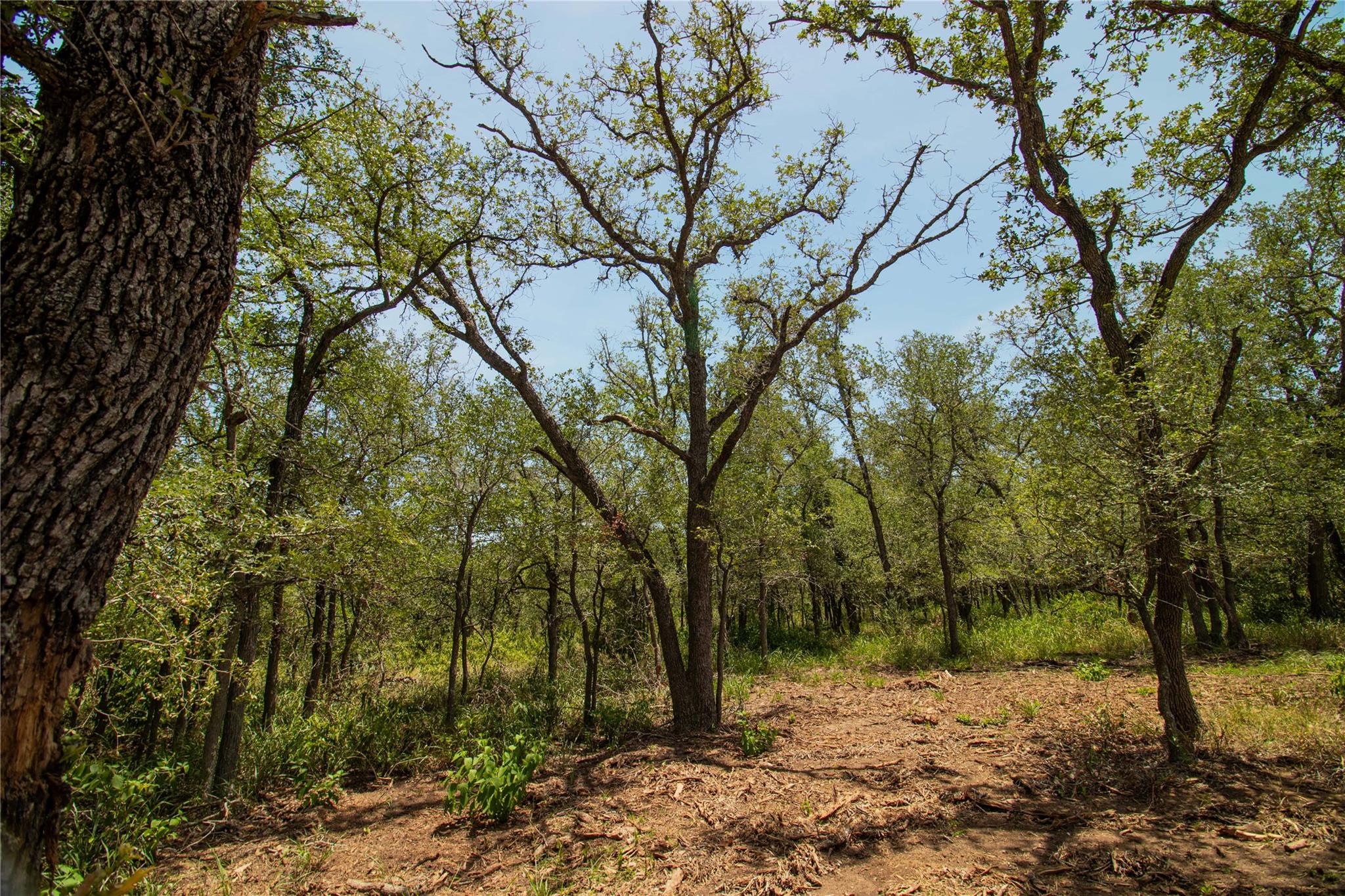 9412 Sycamore Shade Ln, Seguin, TX 78155