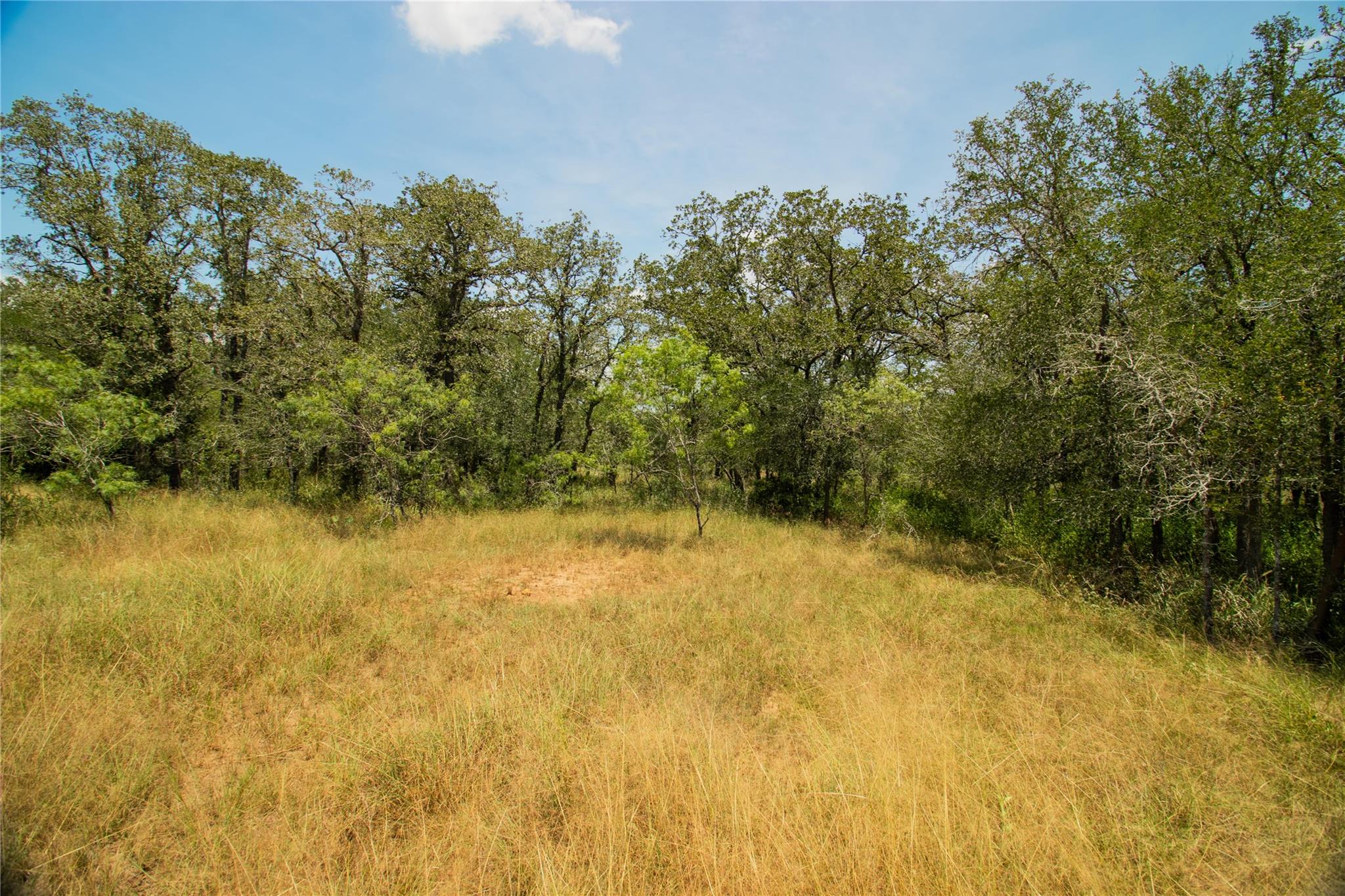 9412 Sycamore Shade Ln, Seguin, TX 78155