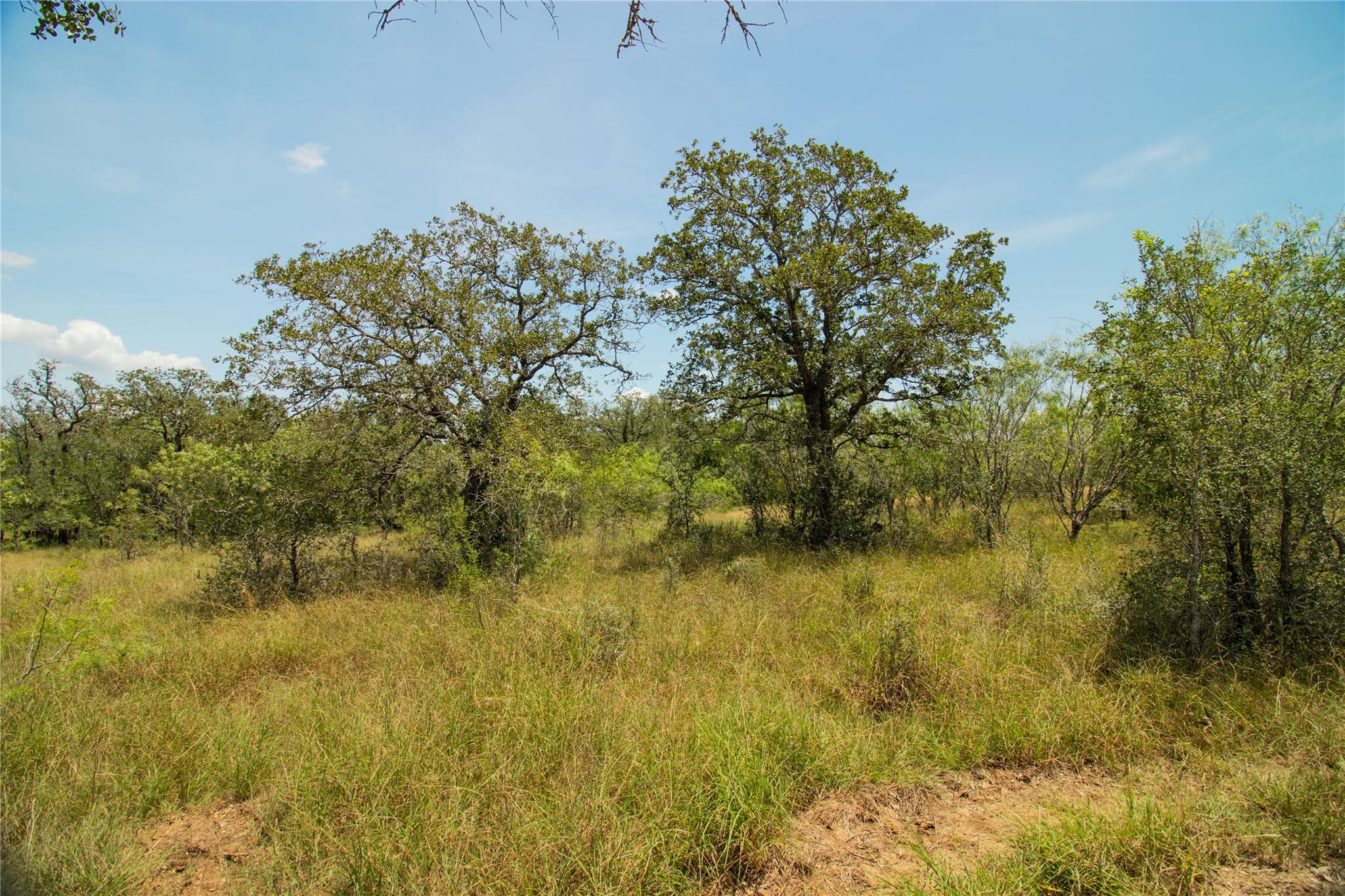 9412 Sycamore Shade Ln, Seguin, TX 78155