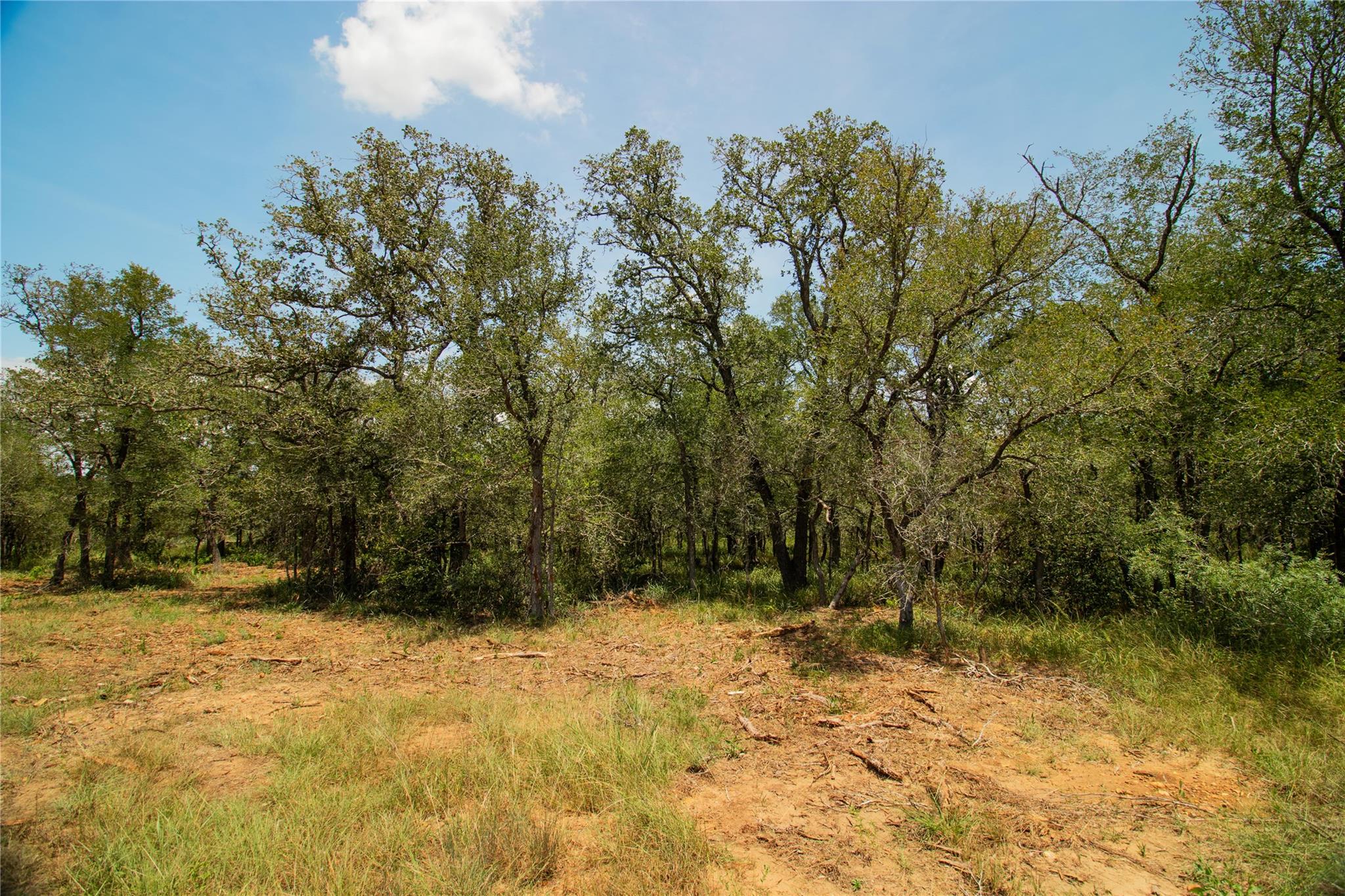 9412 Sycamore Shade Ln, Seguin, TX 78155