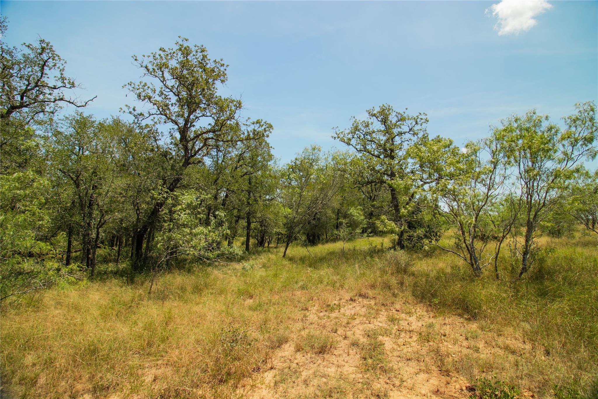 9412 Sycamore Shade Ln, Seguin, TX 78155