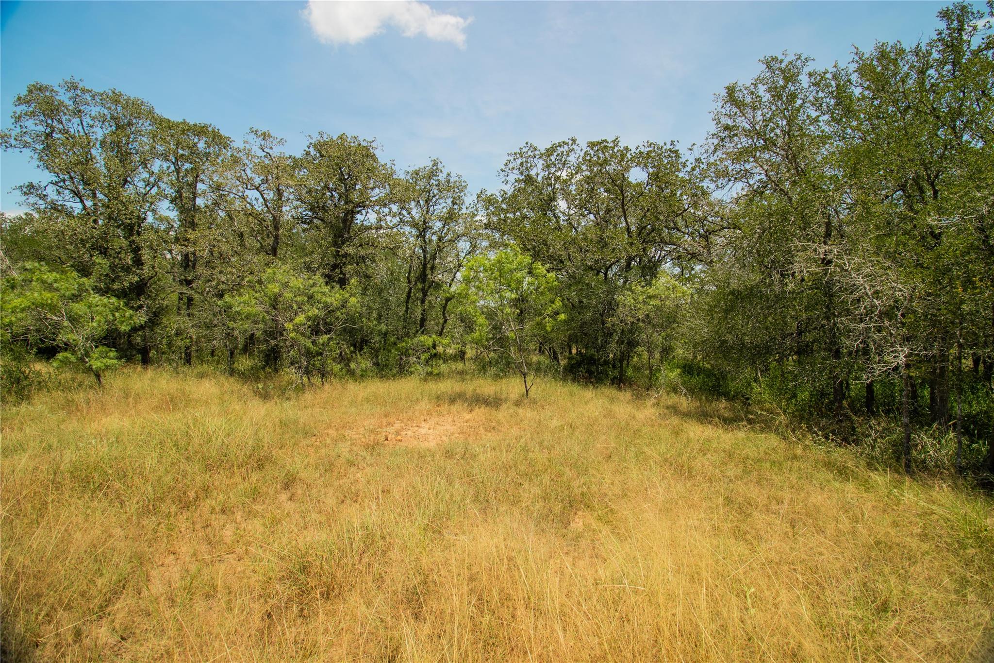 9412 Sycamore Shade Ln, Seguin, TX 78155