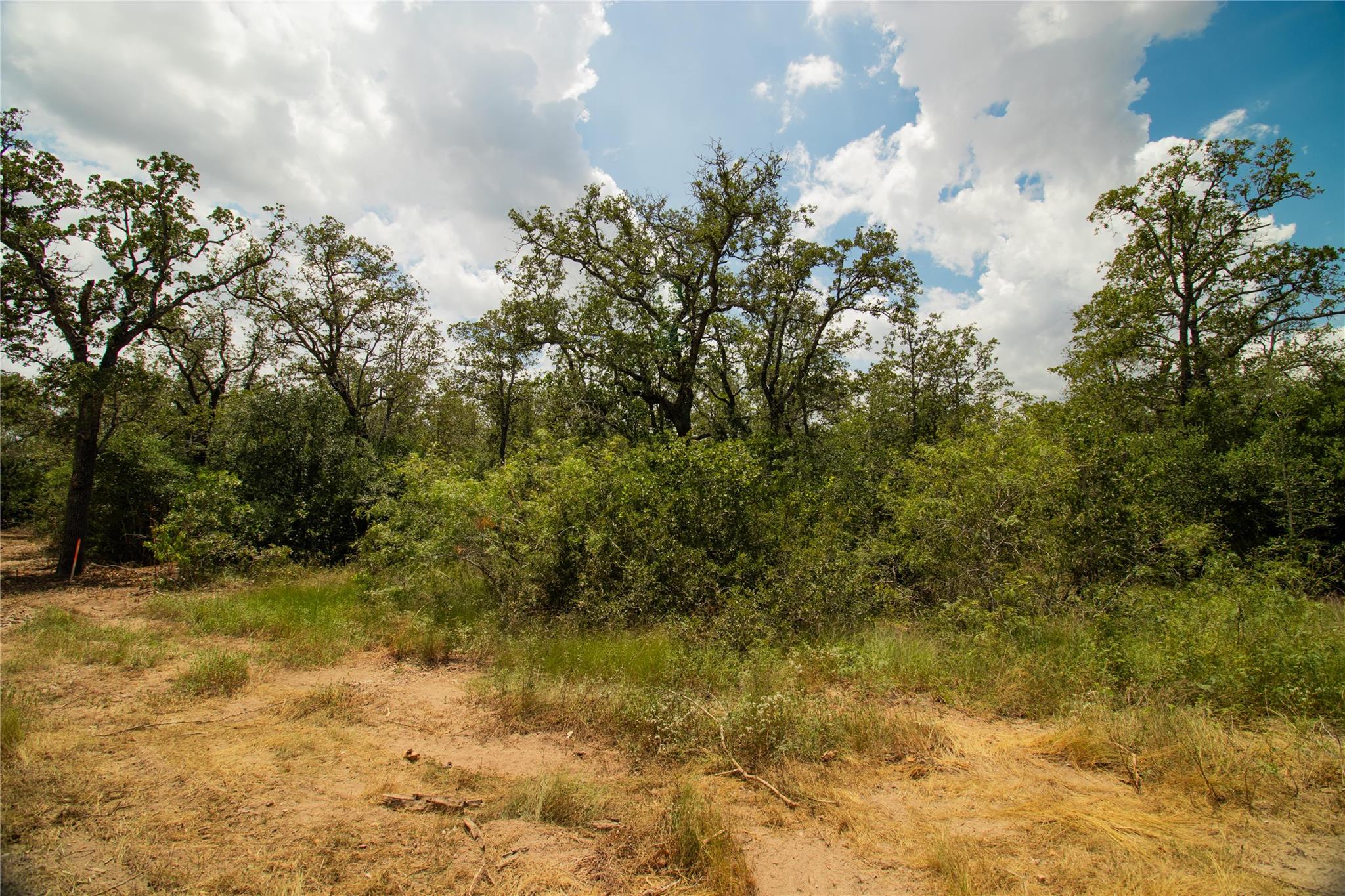 9057 Sycamore Shade Ln, Seguin, TX 78155