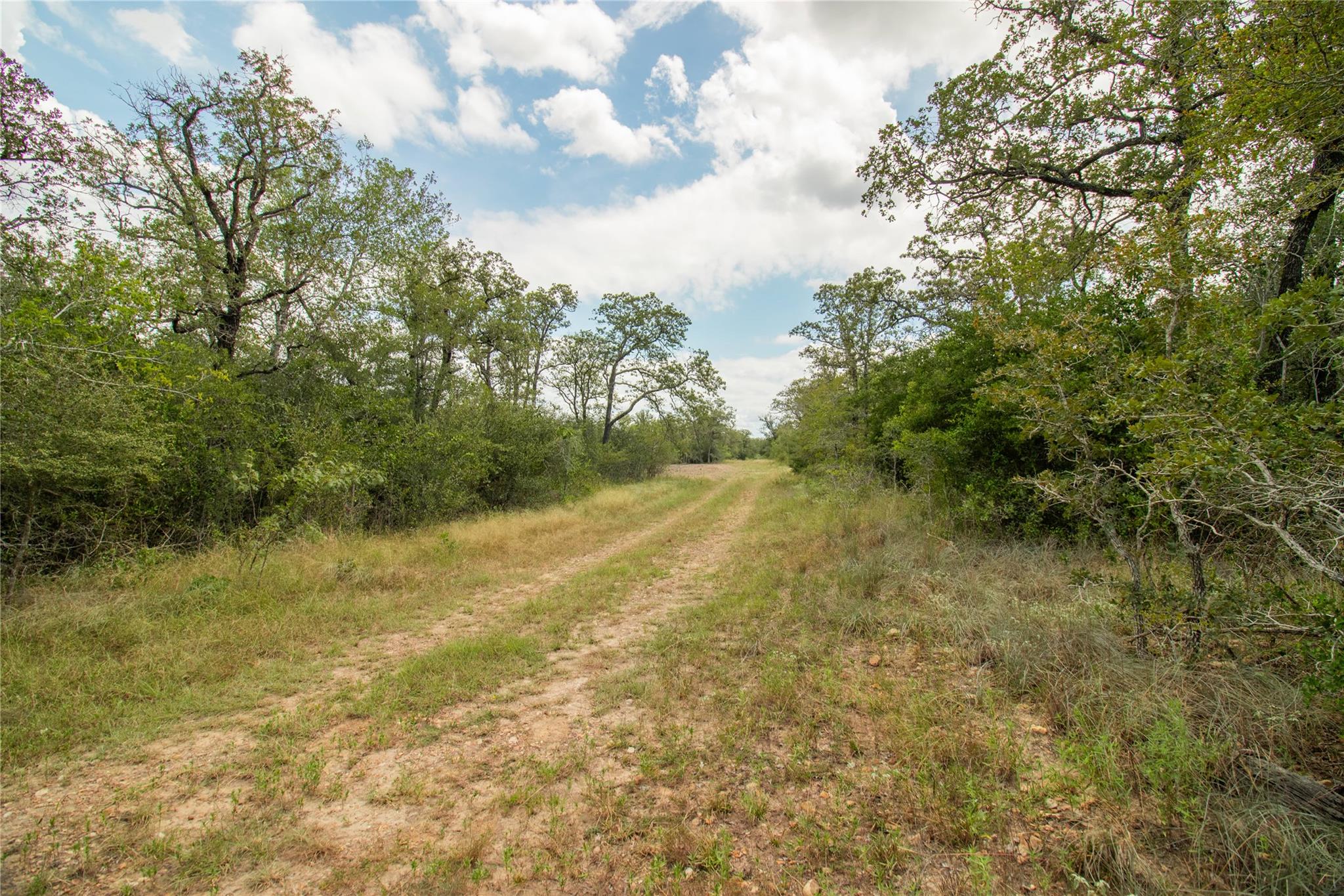 9057 Sycamore Shade Ln, Seguin, TX 78155