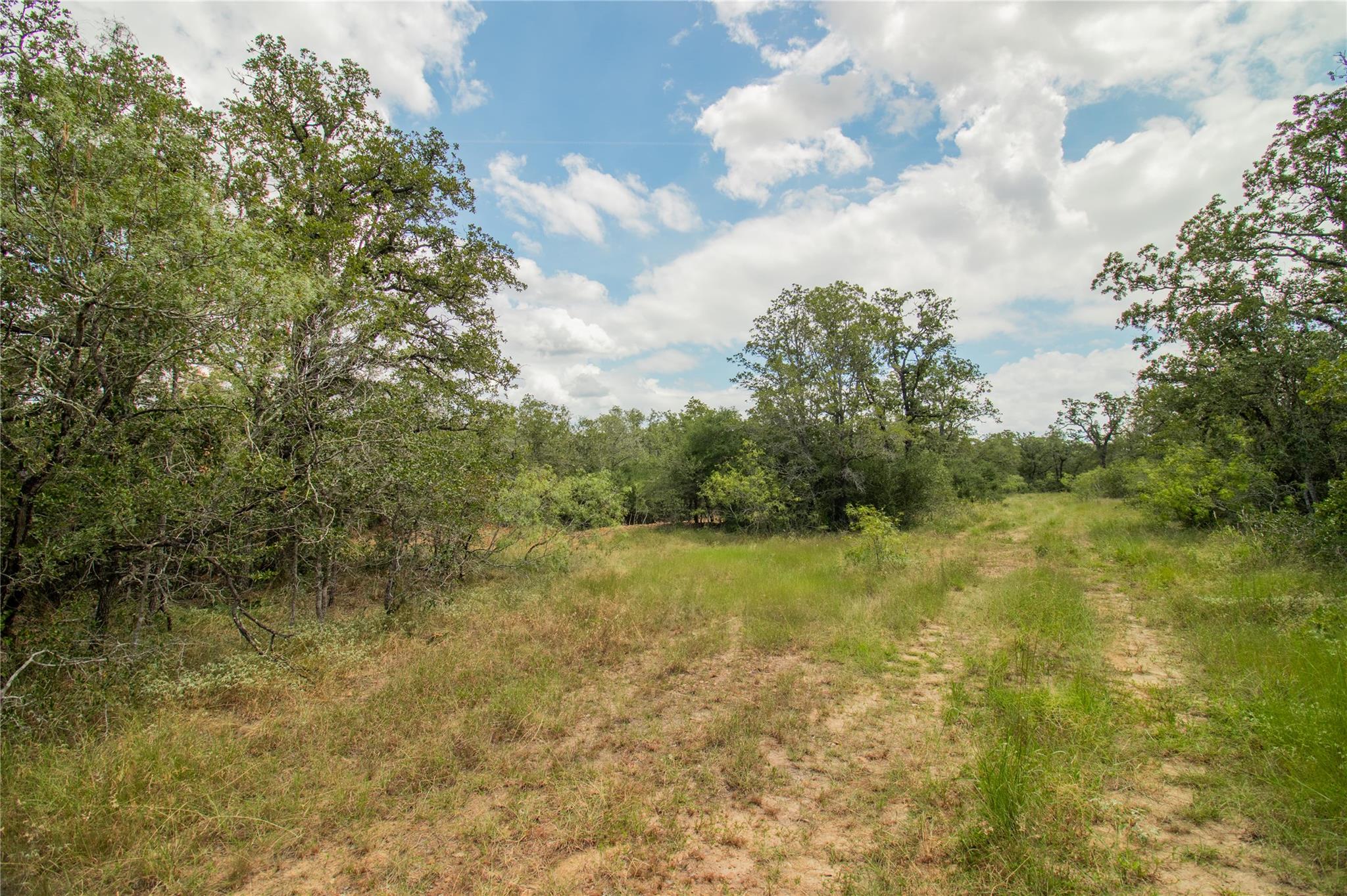 9057 Sycamore Shade Ln, Seguin, TX 78155