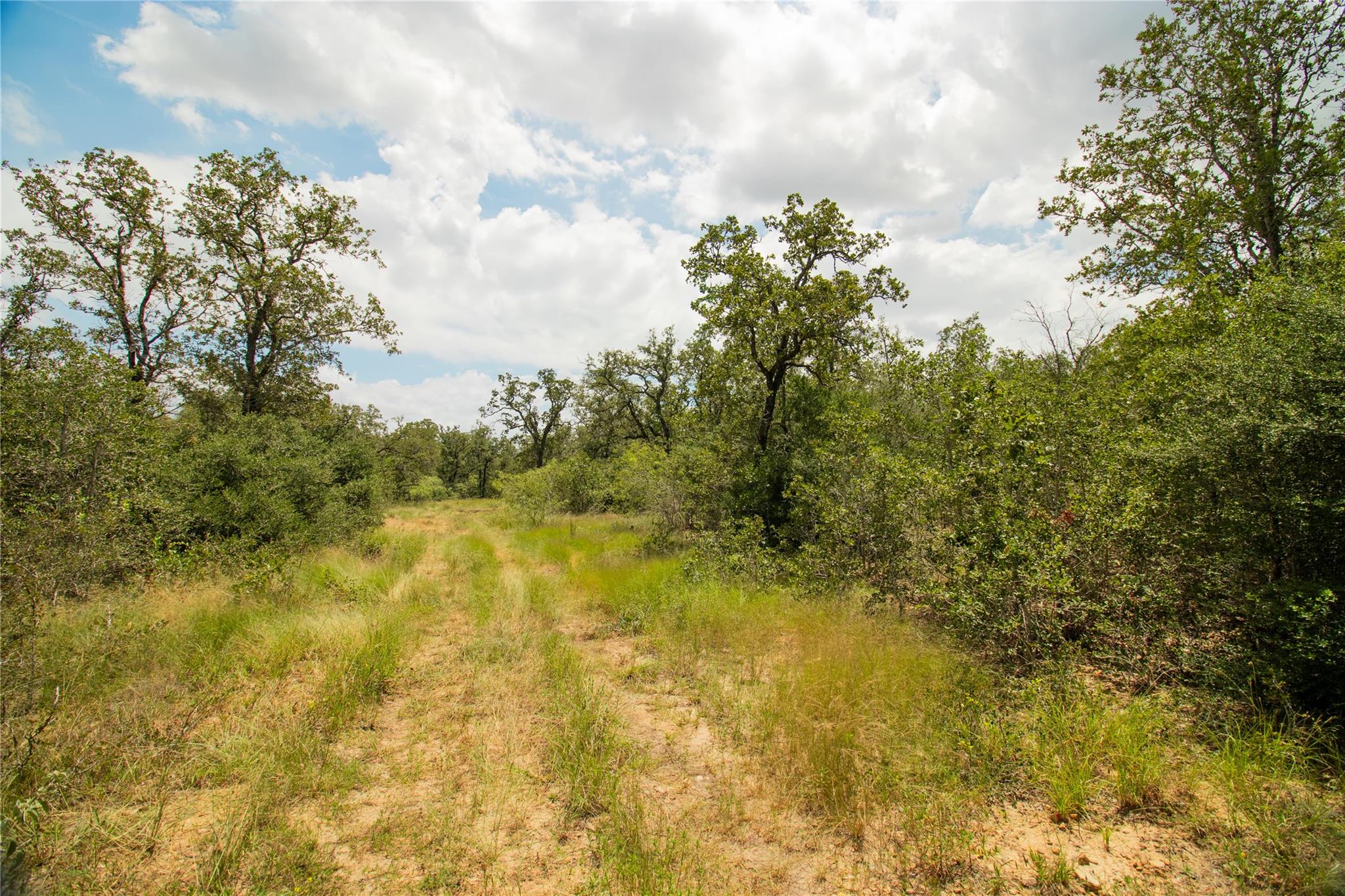 9057 Sycamore Shade Ln, Seguin, TX 78155