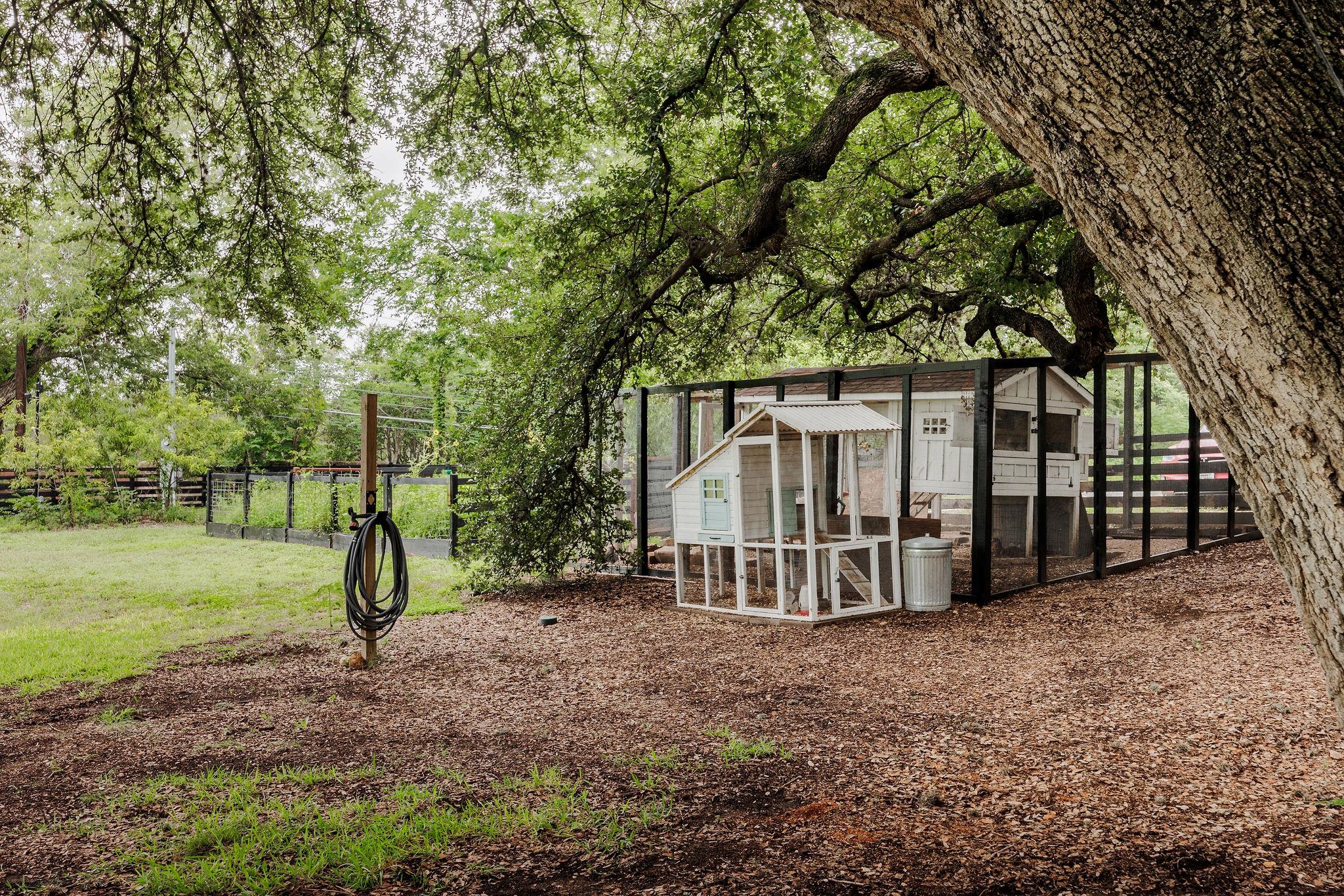 4201 Gregg Ward Ln, Austin, TX 78744