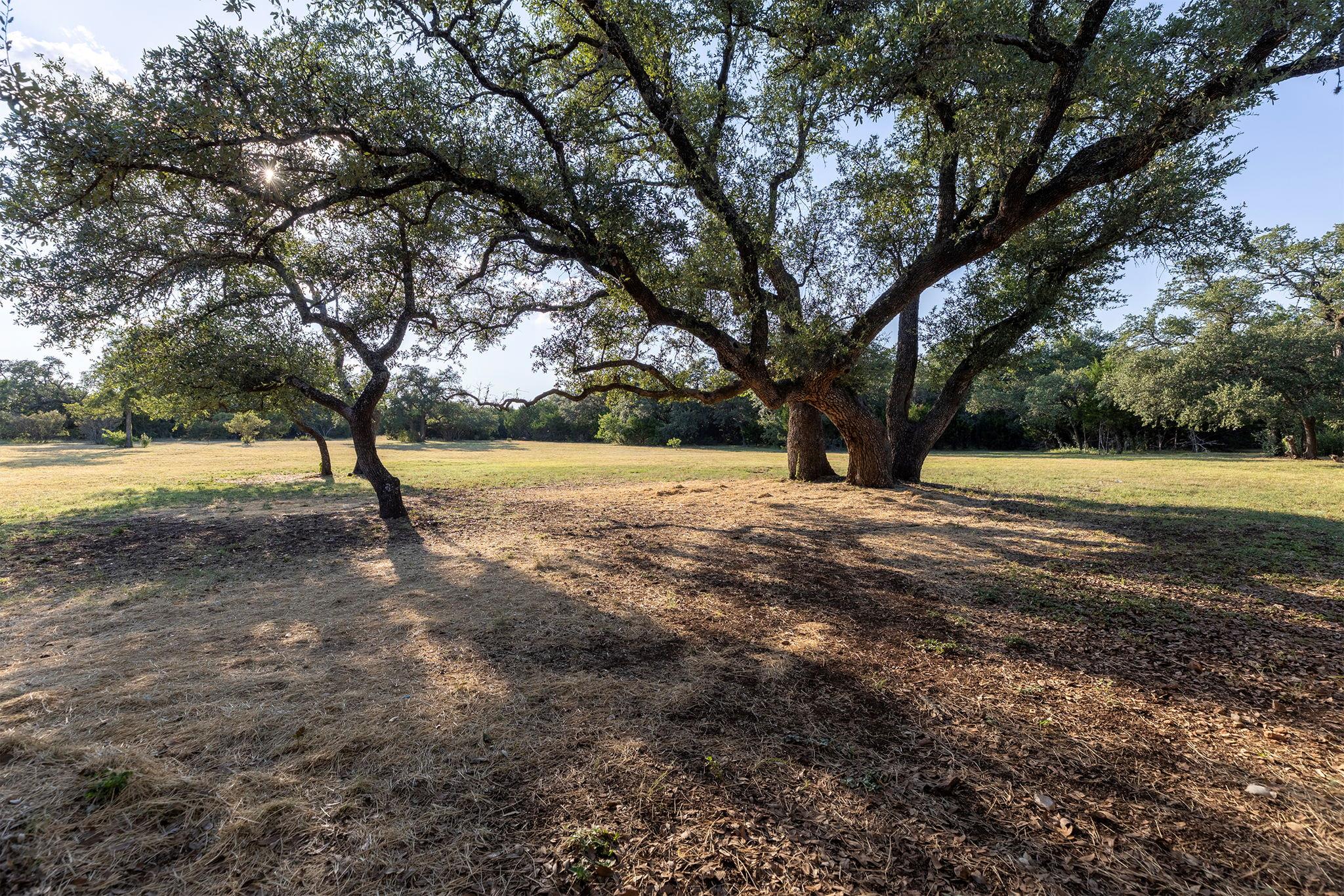 704 Ridgmar Rd, Leander, TX 78641